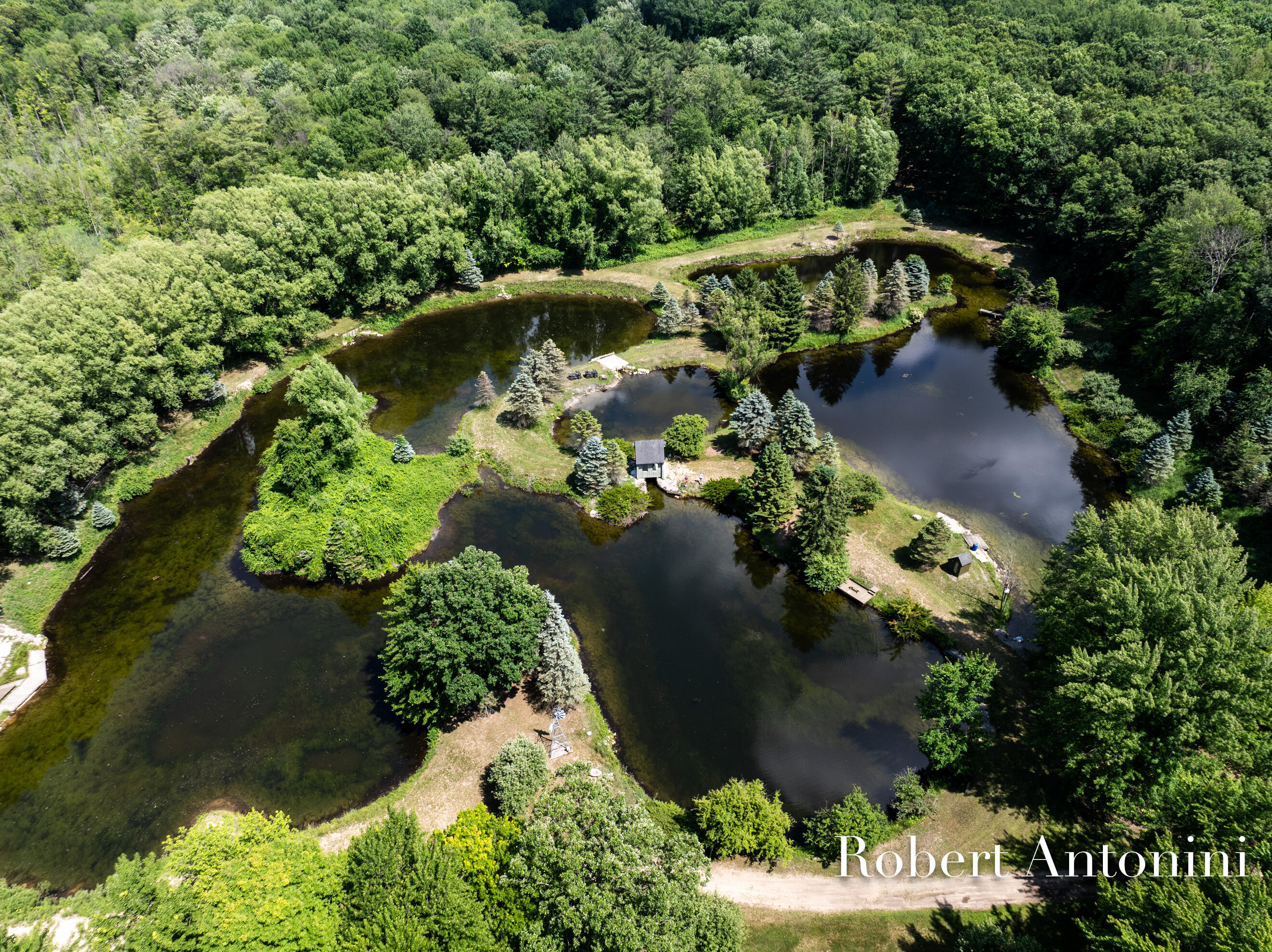 4751 Johnson Road Gowen, MI 49326 - Photo 127 of 146 Ponds
