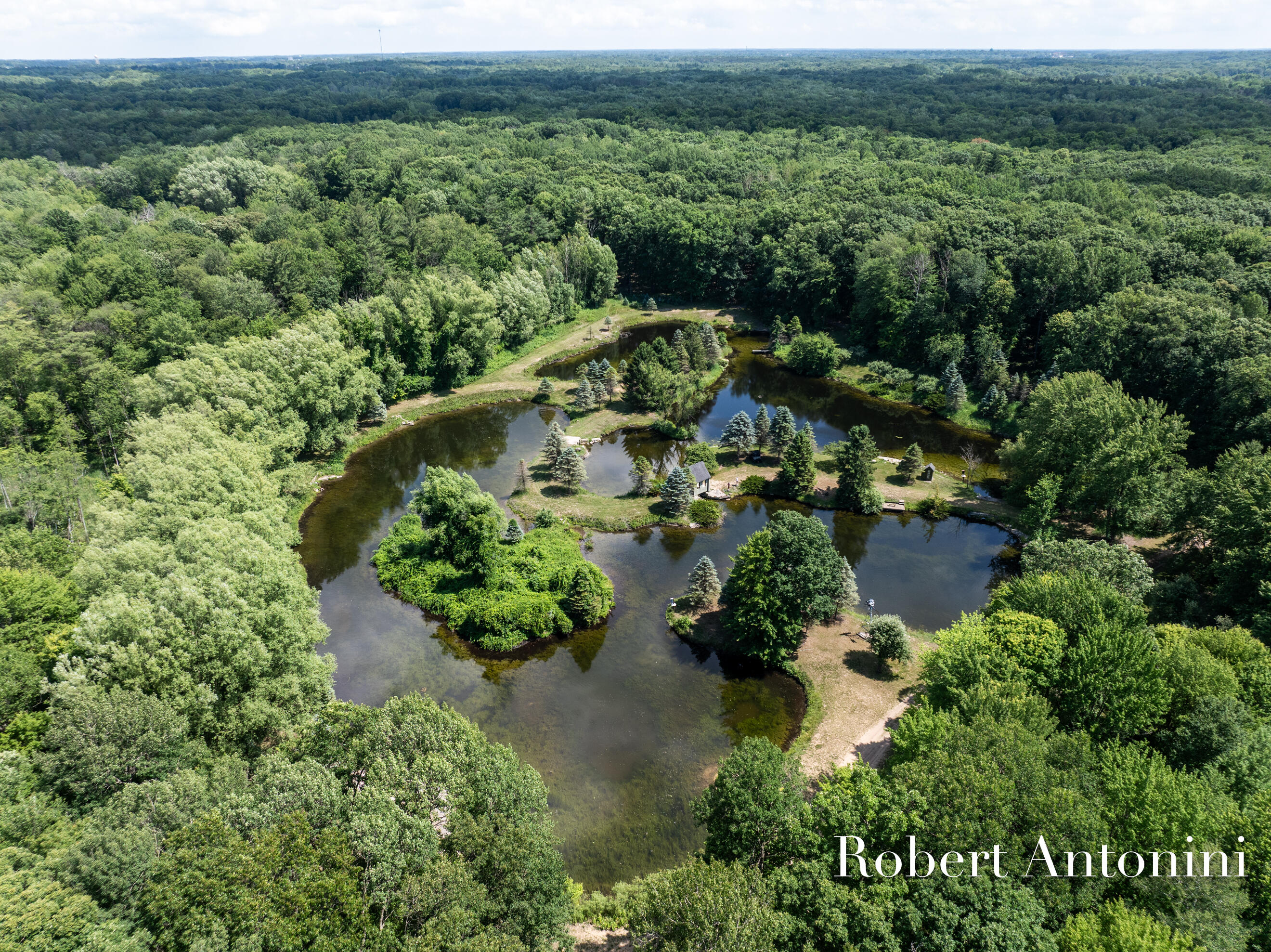 4751 Johnson Road Gowen, MI 49326 - Photo 128 of 146 Ponds