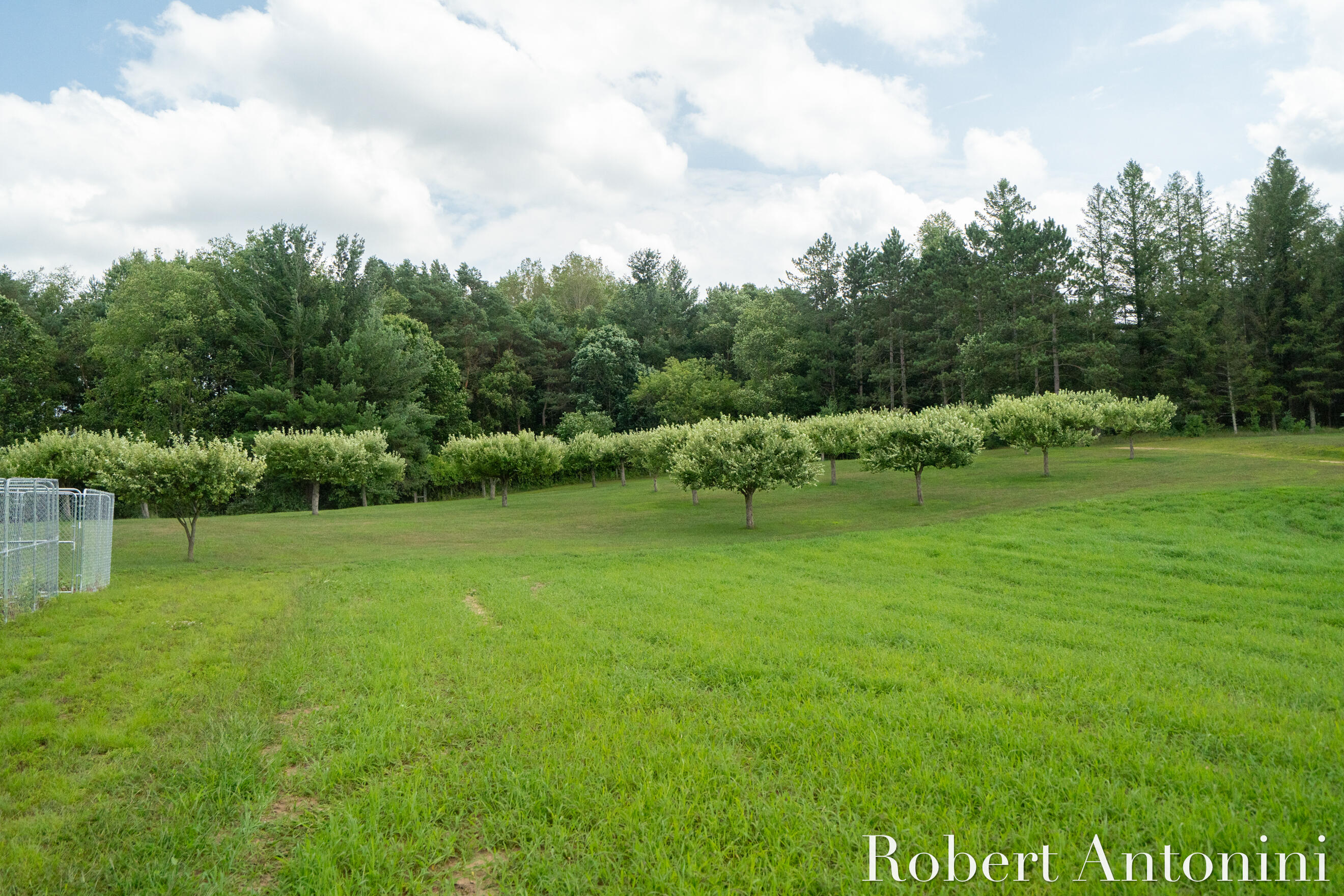 4751 Johnson Road Gowen, MI 49326 - Photo 135 of 146 Deer Smorgasbord