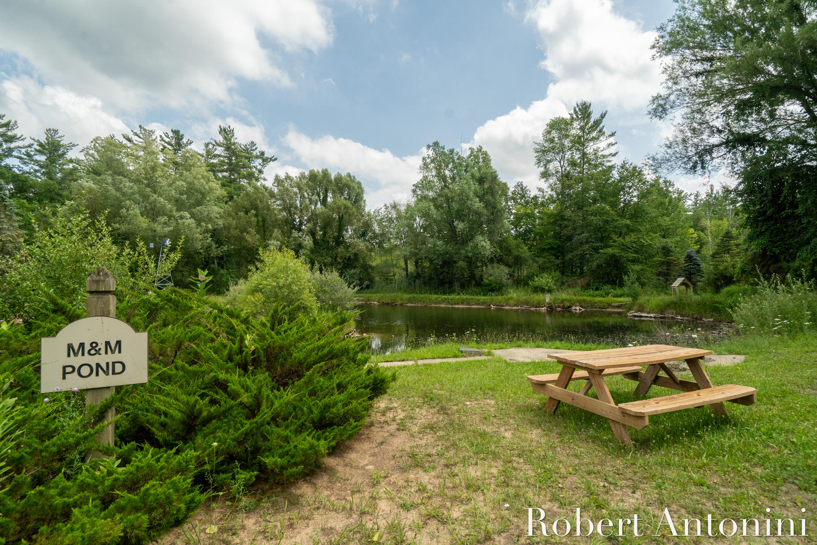 4751 Johnson Road Gowen, MI 49326 - Photo 136 of 146 M&M Pond