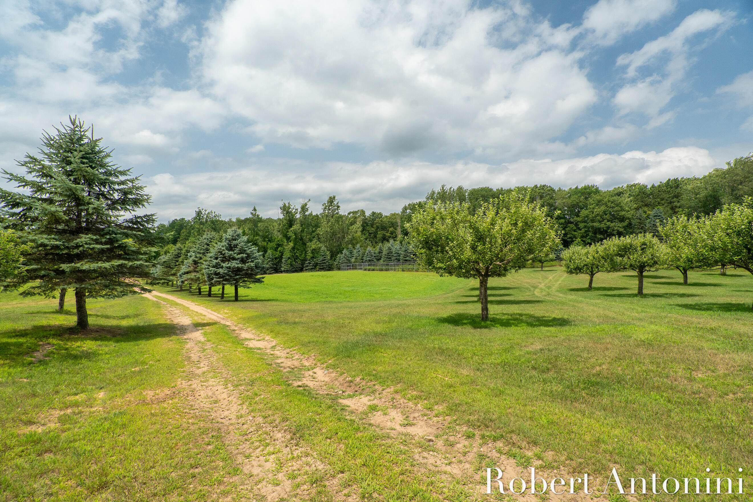 4751 Johnson Road Gowen, MI 49326 - Photo 137 of 146 Miles of Trails