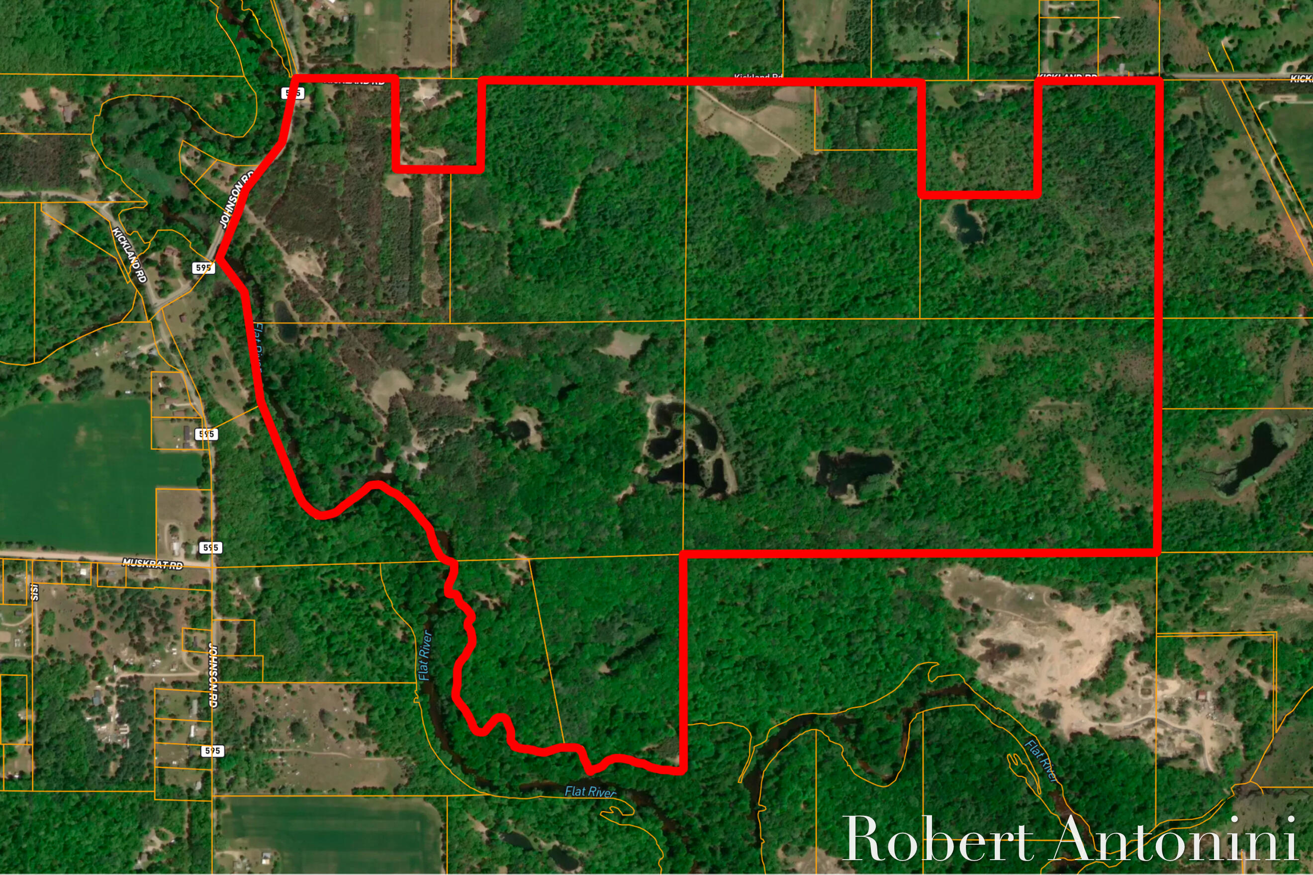 4751 Johnson Road Gowen, MI 49326 - Photo 140 of 146 Lot Lines - Branded