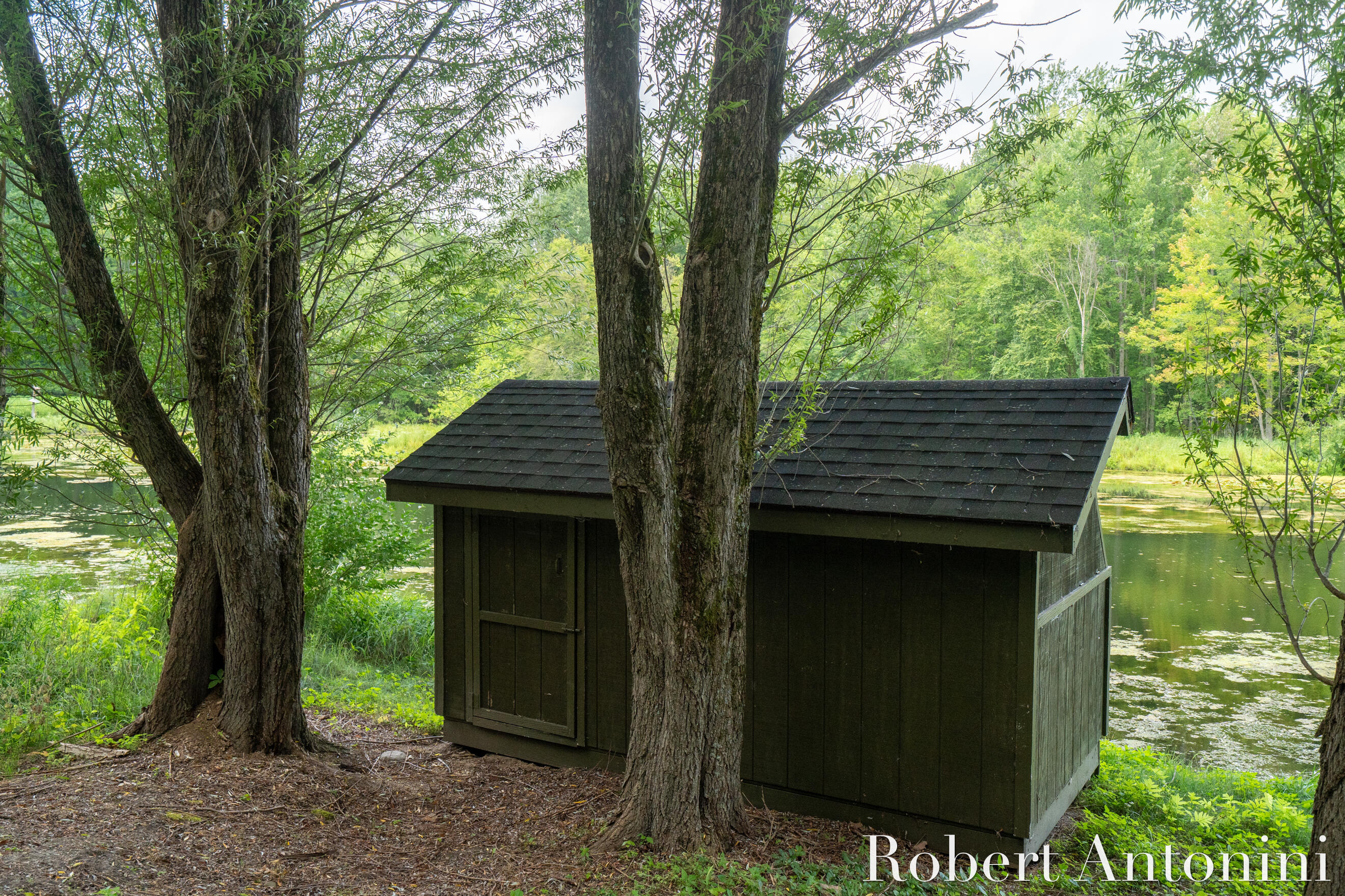 4751 Johnson Road Gowen, MI 49326 - Photo 15 of 146 Duck Blind