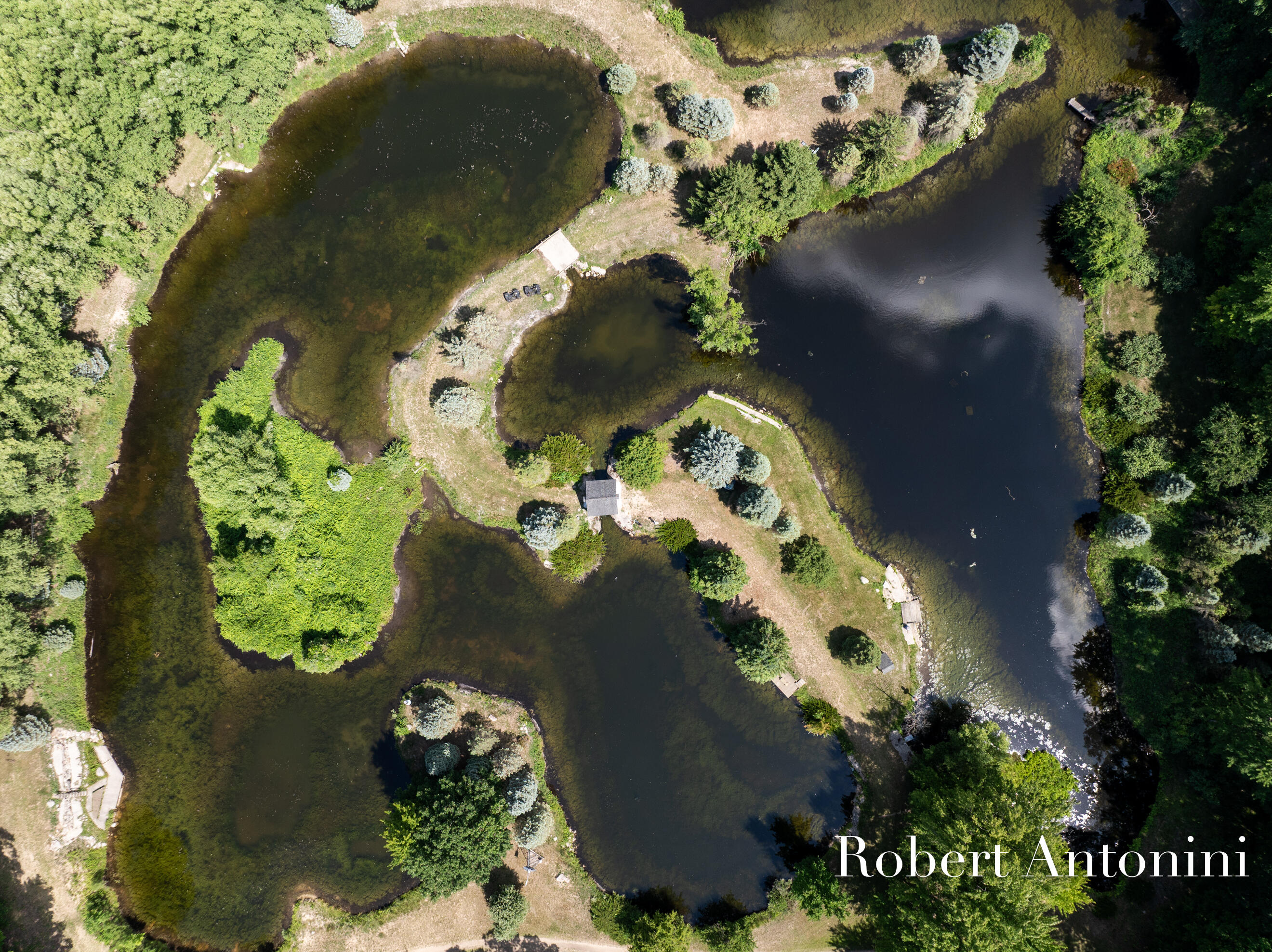 4751 Johnson Road Gowen, MI 49326 - Photo 16 of 146 1 of 7 Fishing Ponds