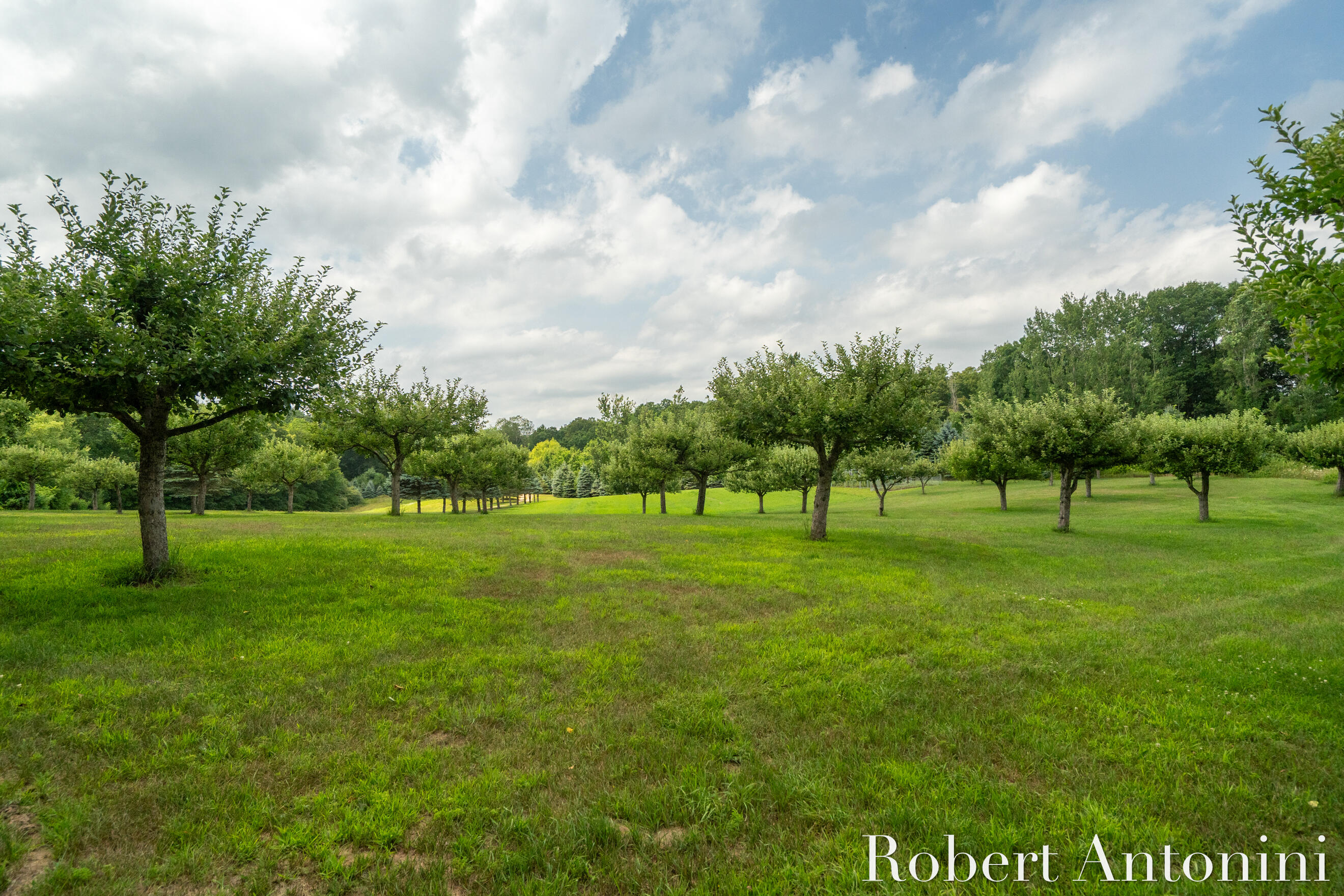 4751 Johnson Road Gowen, MI 49326 - Photo 24 of 146 Fresh Apples