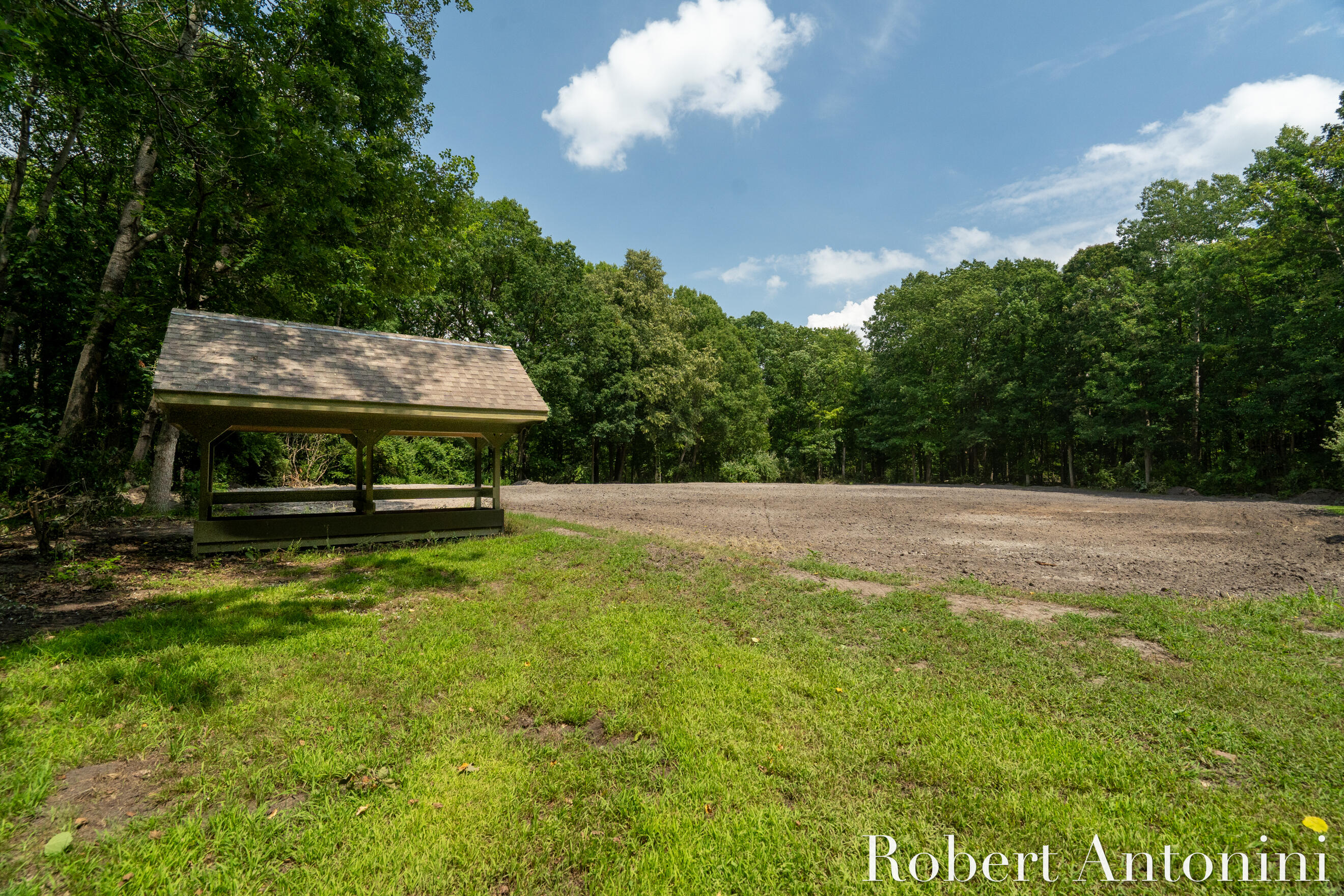 4751 Johnson Road Gowen, MI 49326 - Photo 27 of 146 Beets/Pumpkins