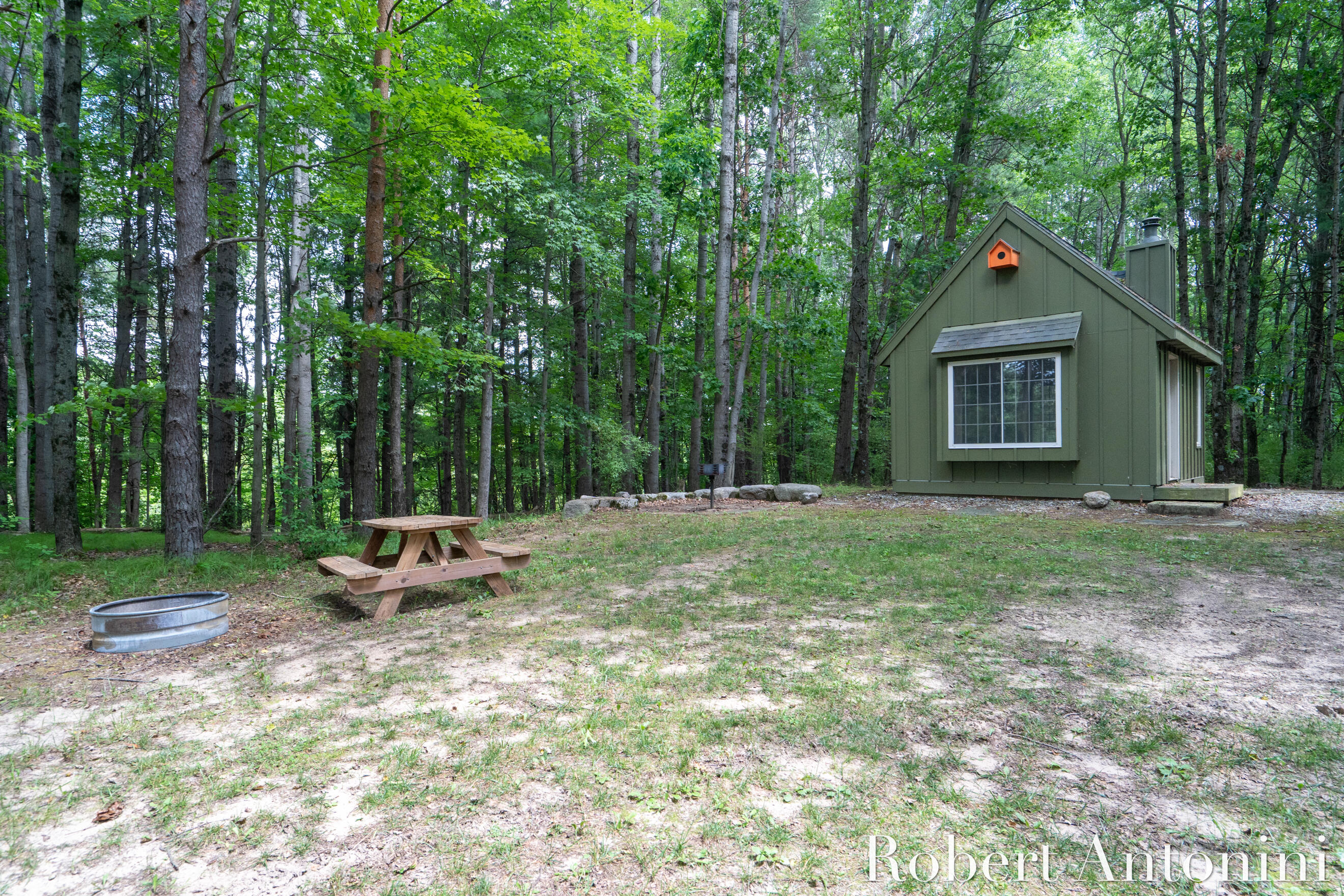 4751 Johnson Road Gowen, MI 49326 - Photo 28 of 146 Rustic Cabin