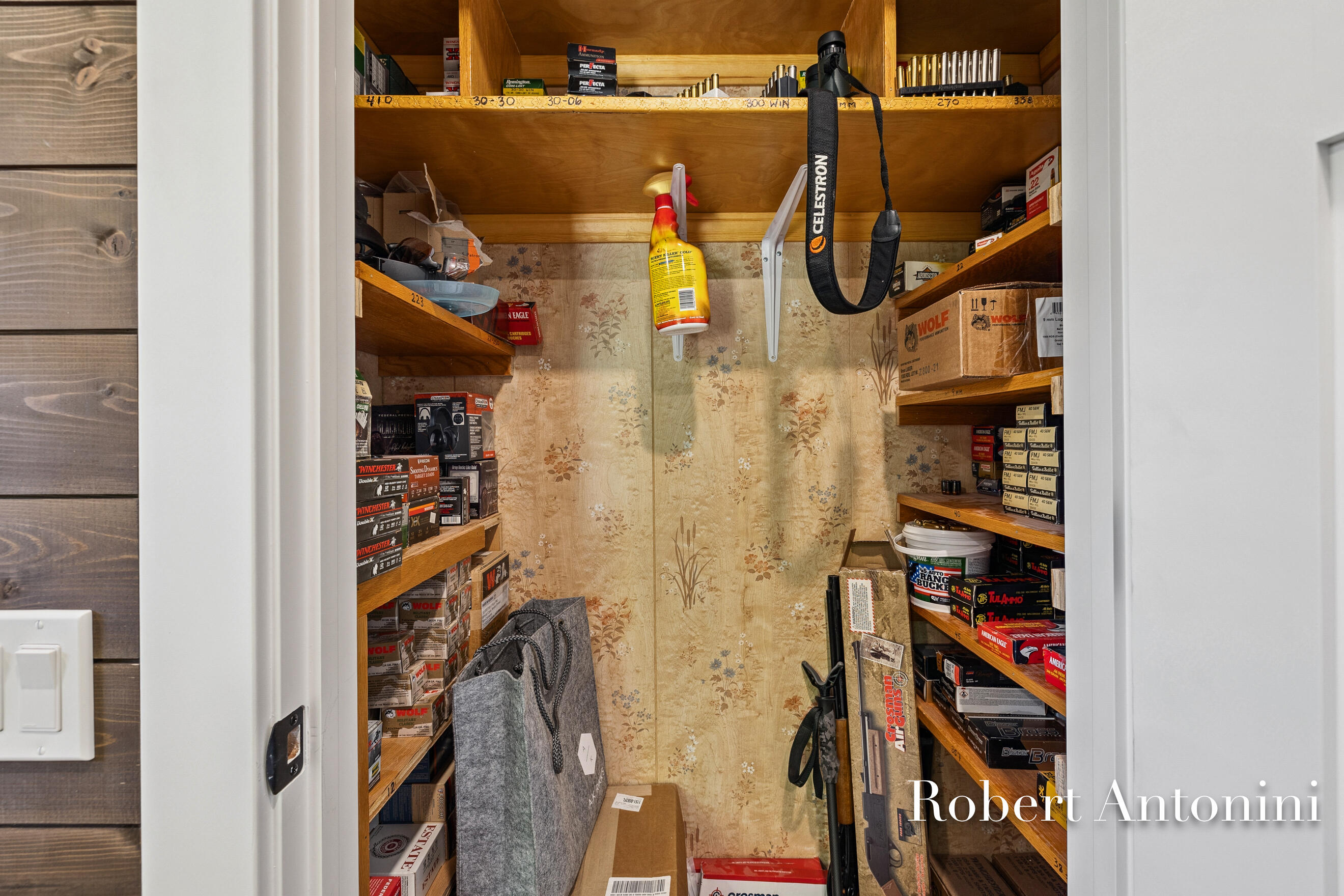 4751 Johnson Road Gowen, MI 49326 - Photo 34 of 146 Ammunition