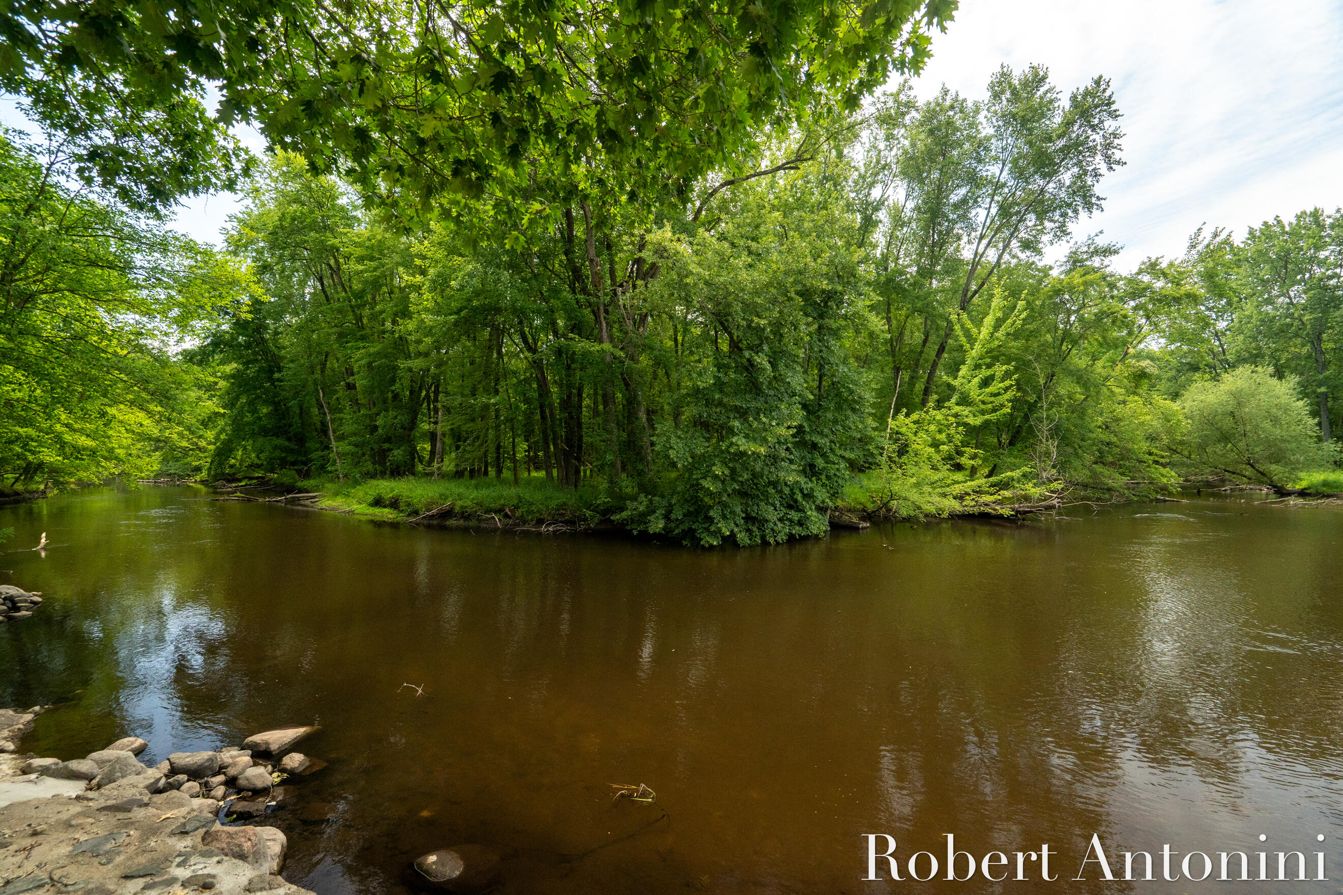 4751 Johnson Road Gowen, MI 49326 - Photo 51 of 146 Flat River