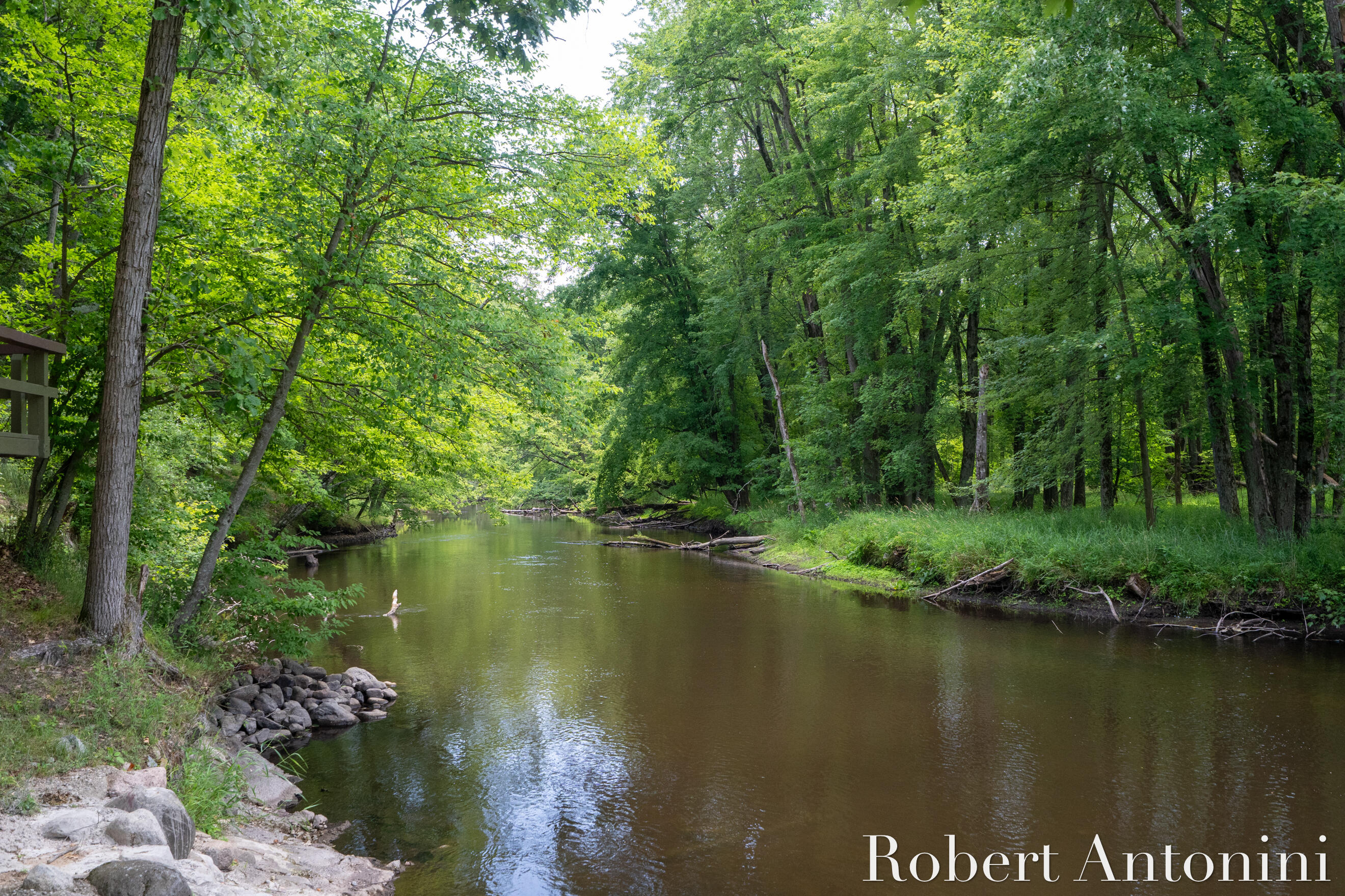 4751 Johnson Road Gowen, MI 49326 - Photo 52 of 146 Flat River