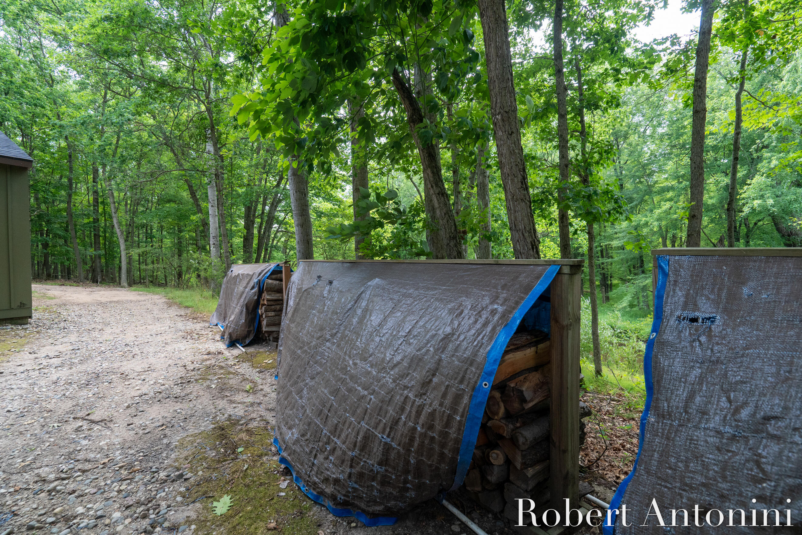 4751 Johnson Road Gowen, MI 49326 - Photo 54 of 146 Seasoned Firewood