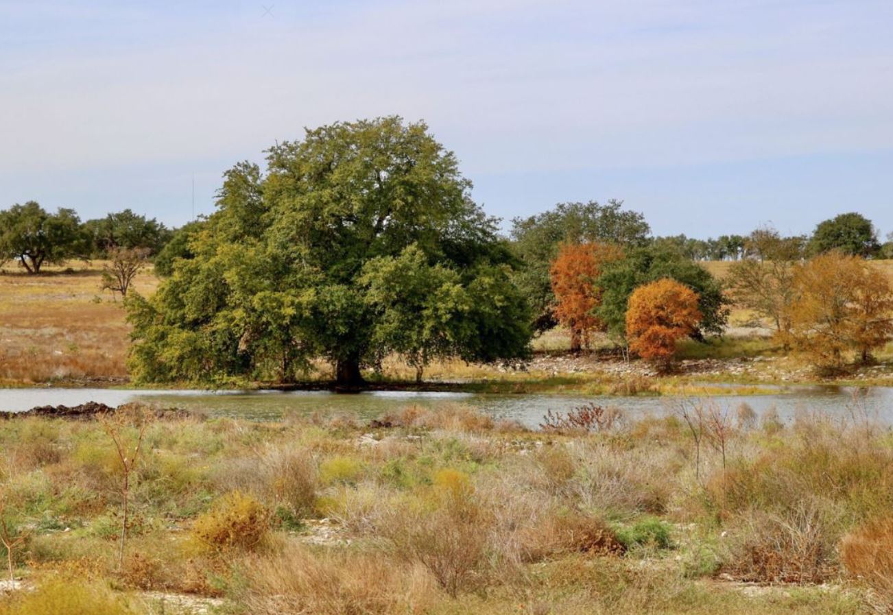 812 South Hemingway Loop Liberty Hill, TX 78642 - Photo 37 of 39 Pond at Lariat