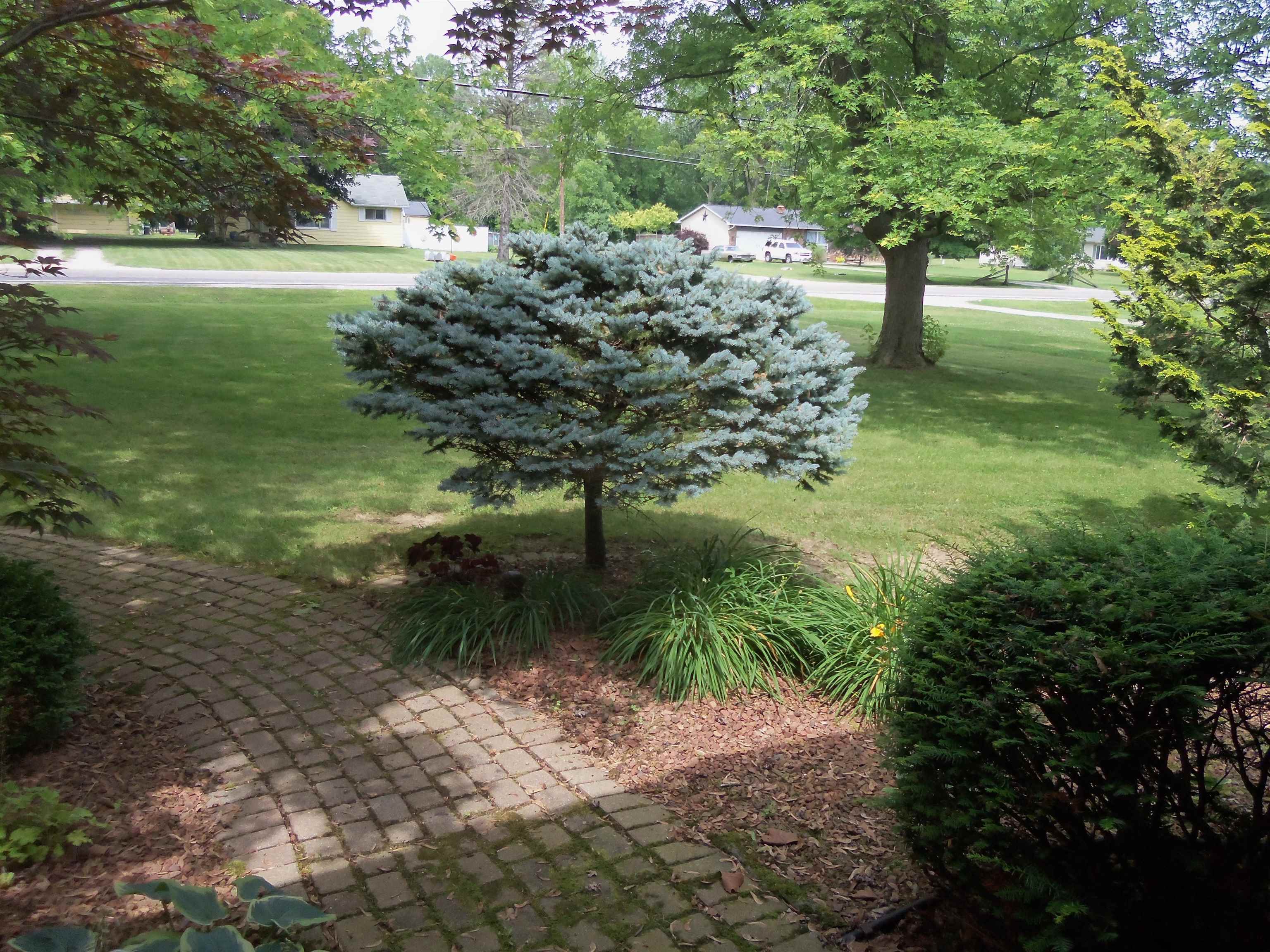 5310 East Carpenter Road Flint, MI 48506 - Photo 5 of 70 50117534-4.JPG