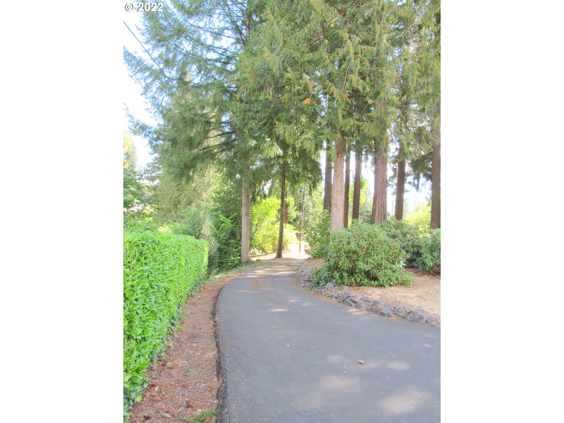 69 Pacific Place Longview, WA 98632 - Photo 32 of 32 a view of a garden with plants and large trees