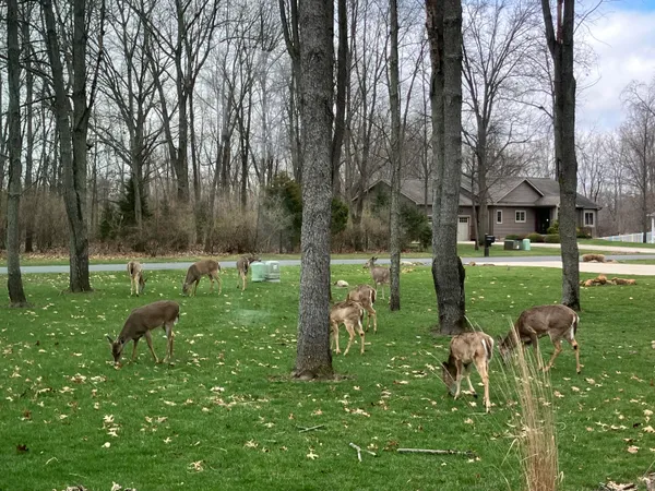 $649,900 | 644 Woodchuck Drive, Coldwater, MI 49036