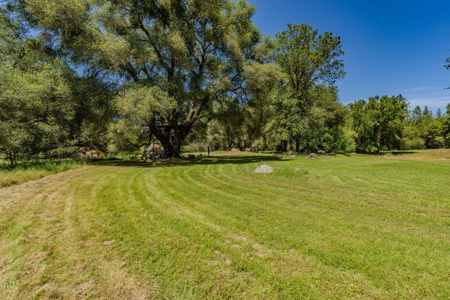 22930 Meadow View Road Fiddletown, CA 95629 - Photo 17 of 95