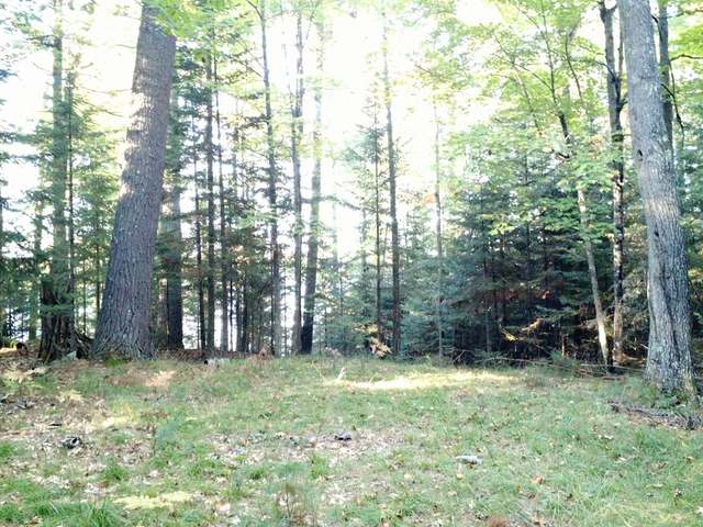 On Shields Road, Unit LOT 1 St. Germain, WI 54558 - Photo 13 of 20 Gallery Image 13