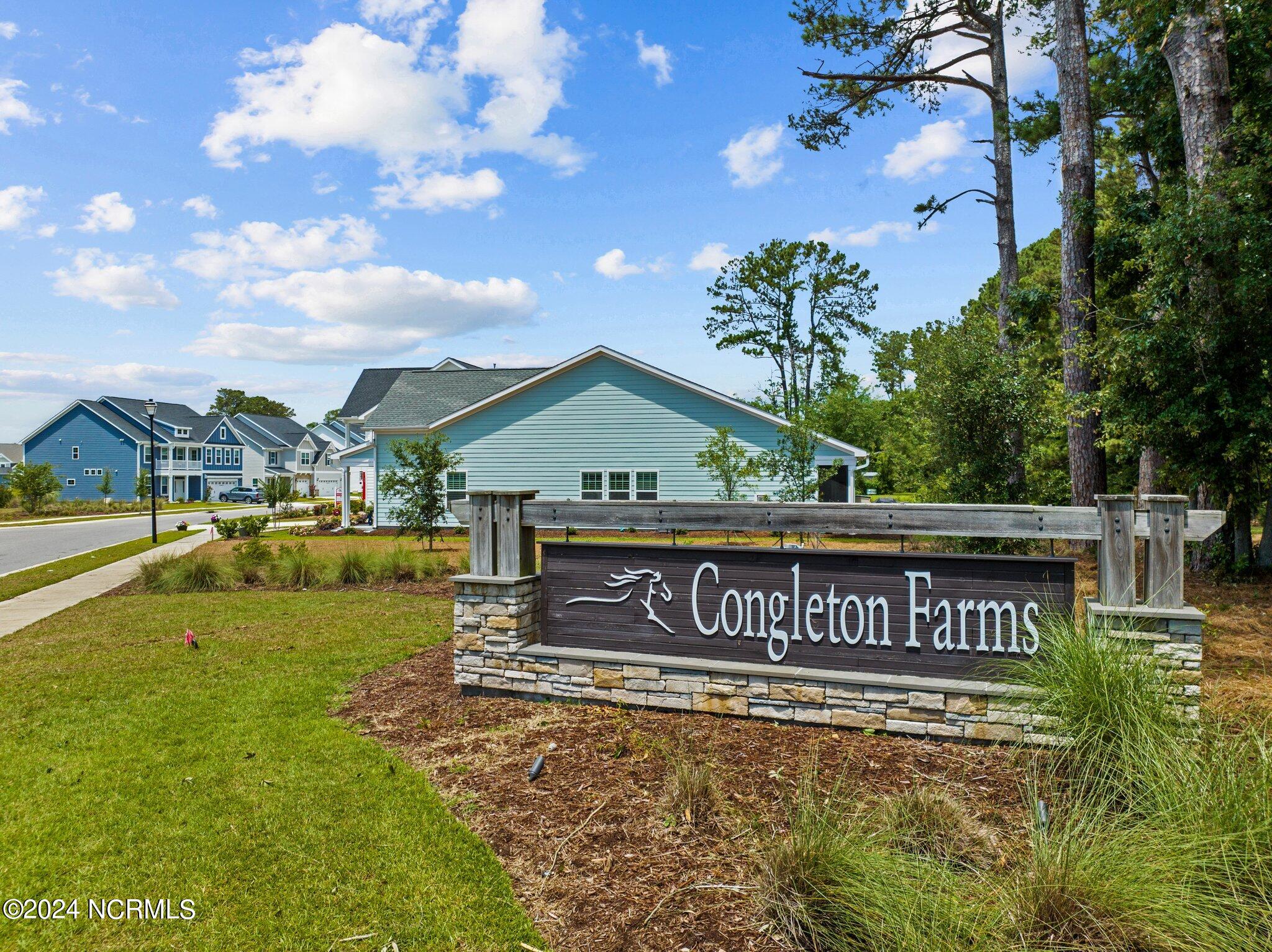 1245 Lt Congleton Road Wilmington, NC 28409 - Photo 60 of 64