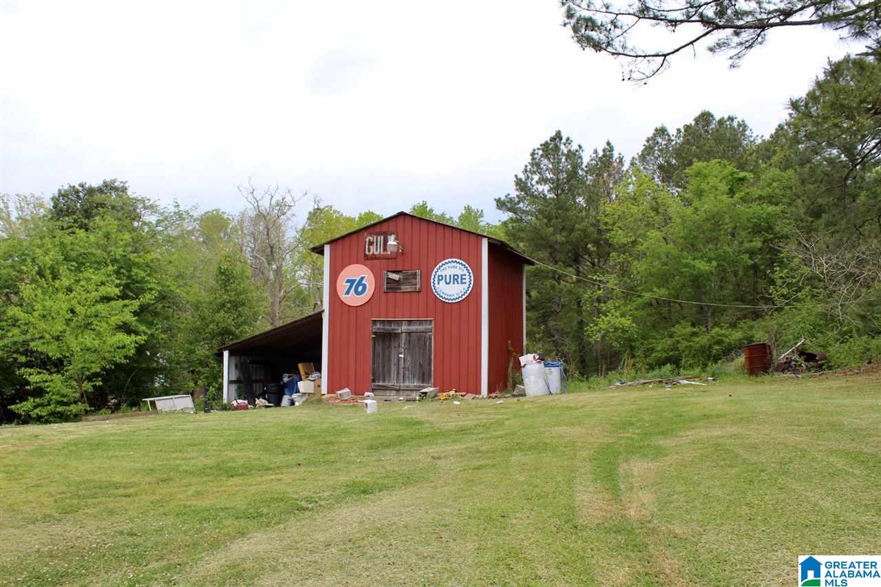 3133 County Road 29 Oneonta, AL 35121 - Photo 11 of 13