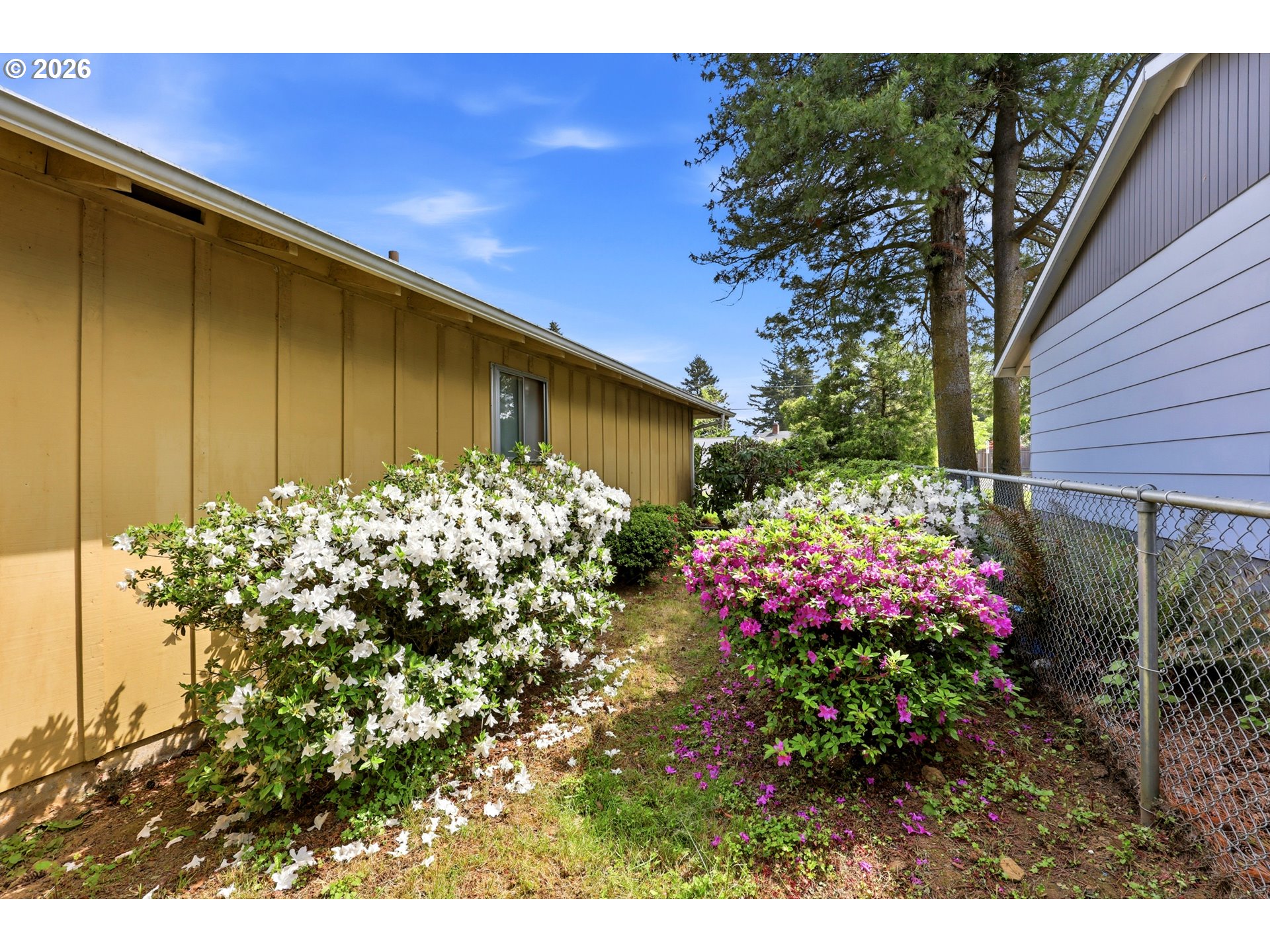 3003 Southeast 162nd Avenue Portland, OR 97236 - Photo 31 of 41 a view of a flower in a yard