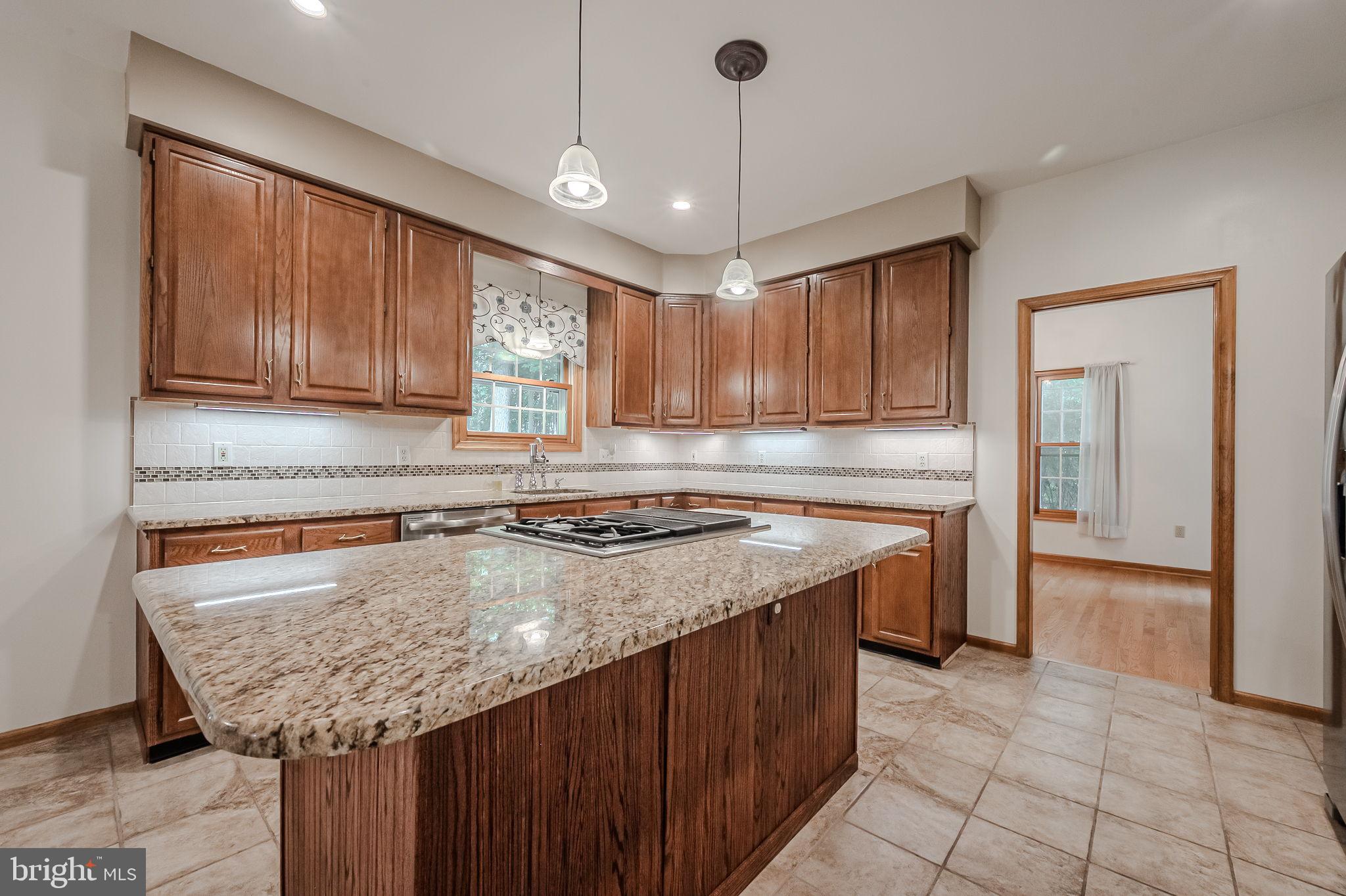 108 Michaels Lane Newark, DE 19713 - Photo 18 of 53 a kitchen with granite countertop a sink cabinets and window