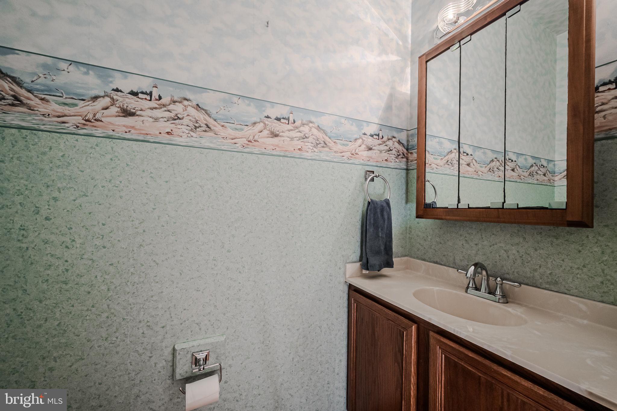 108 Michaels Lane Newark, DE 19713 - Photo 29 of 53 a bathroom with a sink and a mirror