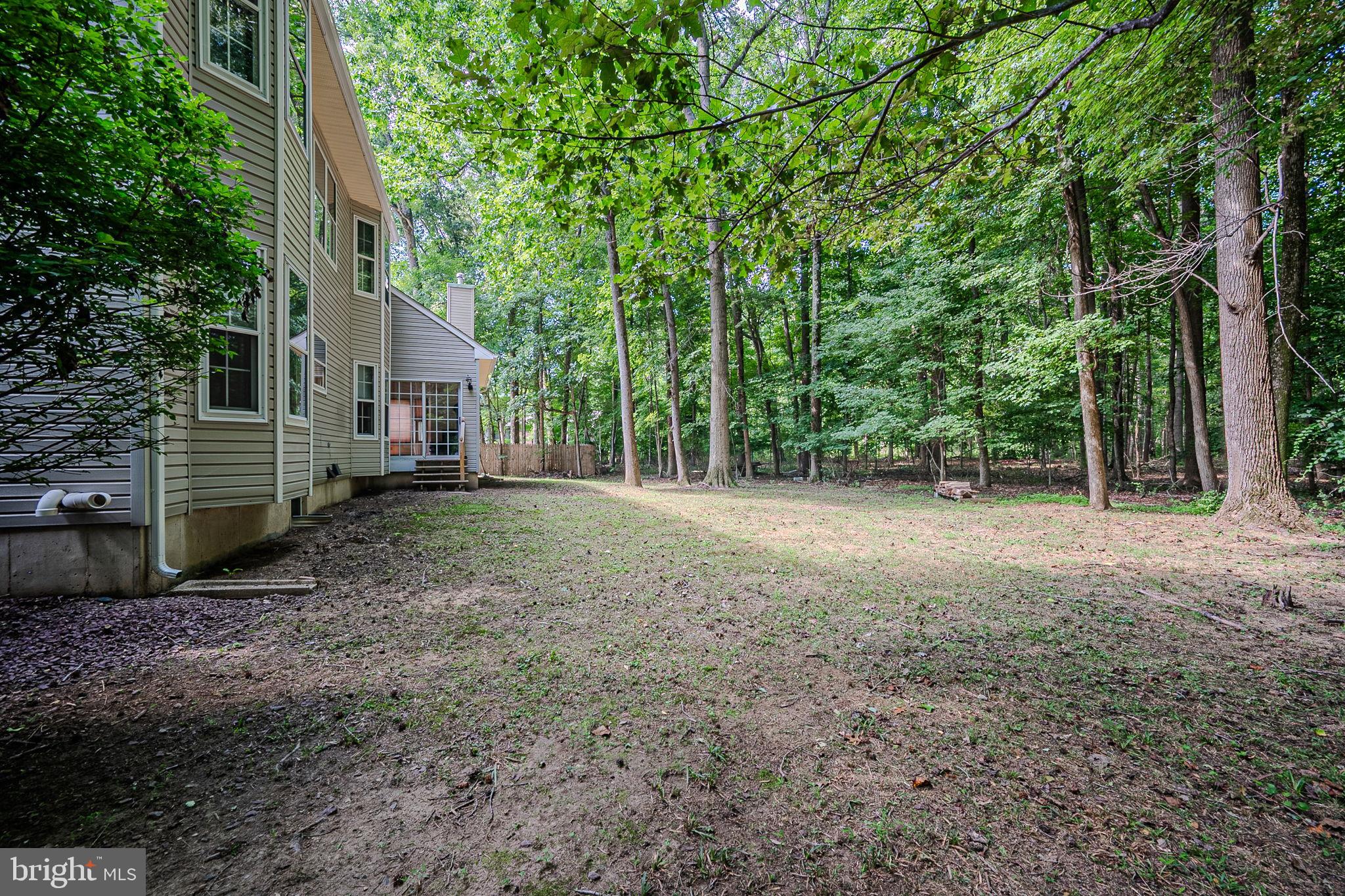 108 Michaels Lane Newark, DE 19713 - Photo 49 of 53 a view of a yard with plants and trees