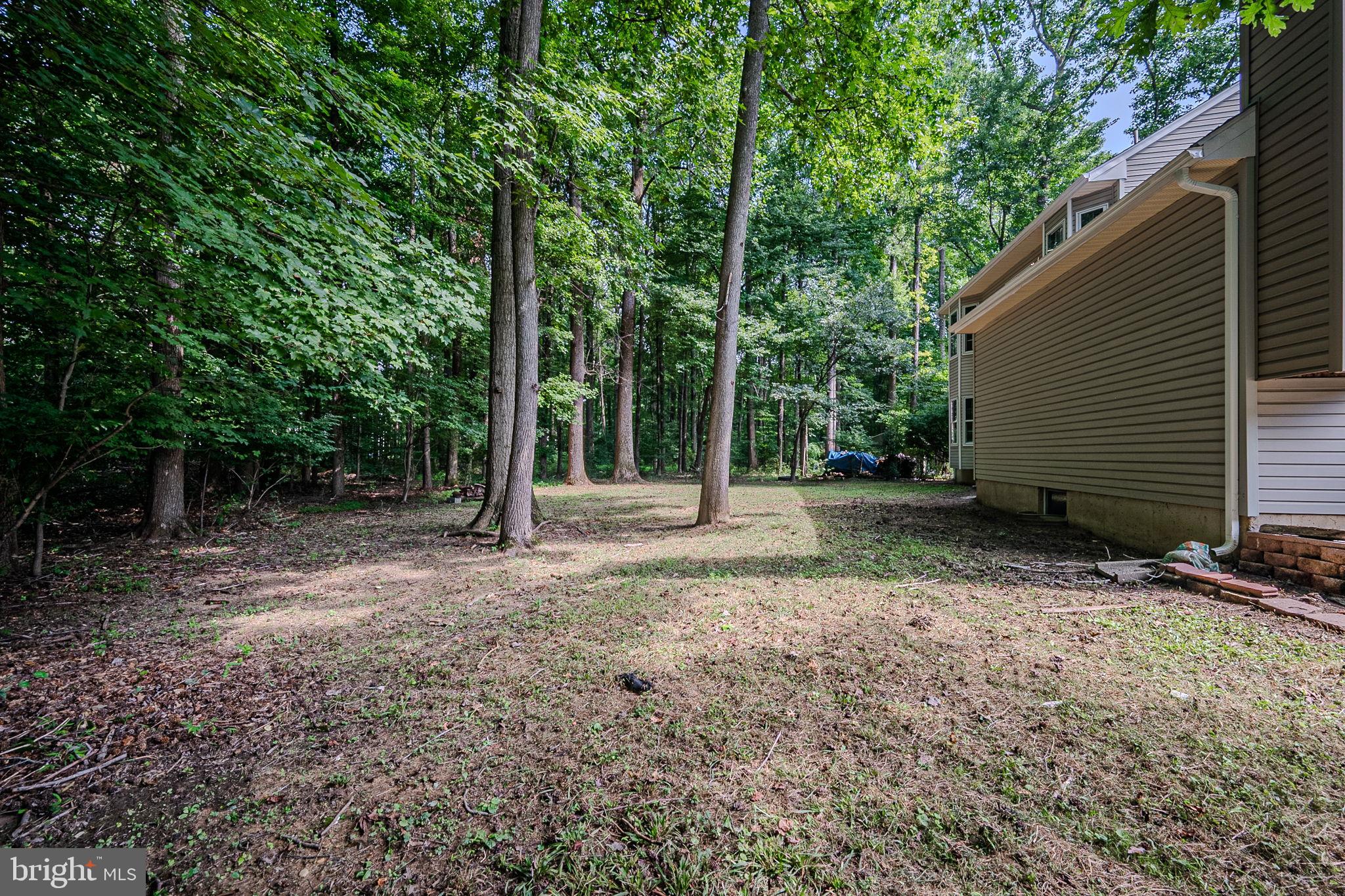 108 Michaels Lane Newark, DE 19713 - Photo 52 of 53 a view of backyard with green space