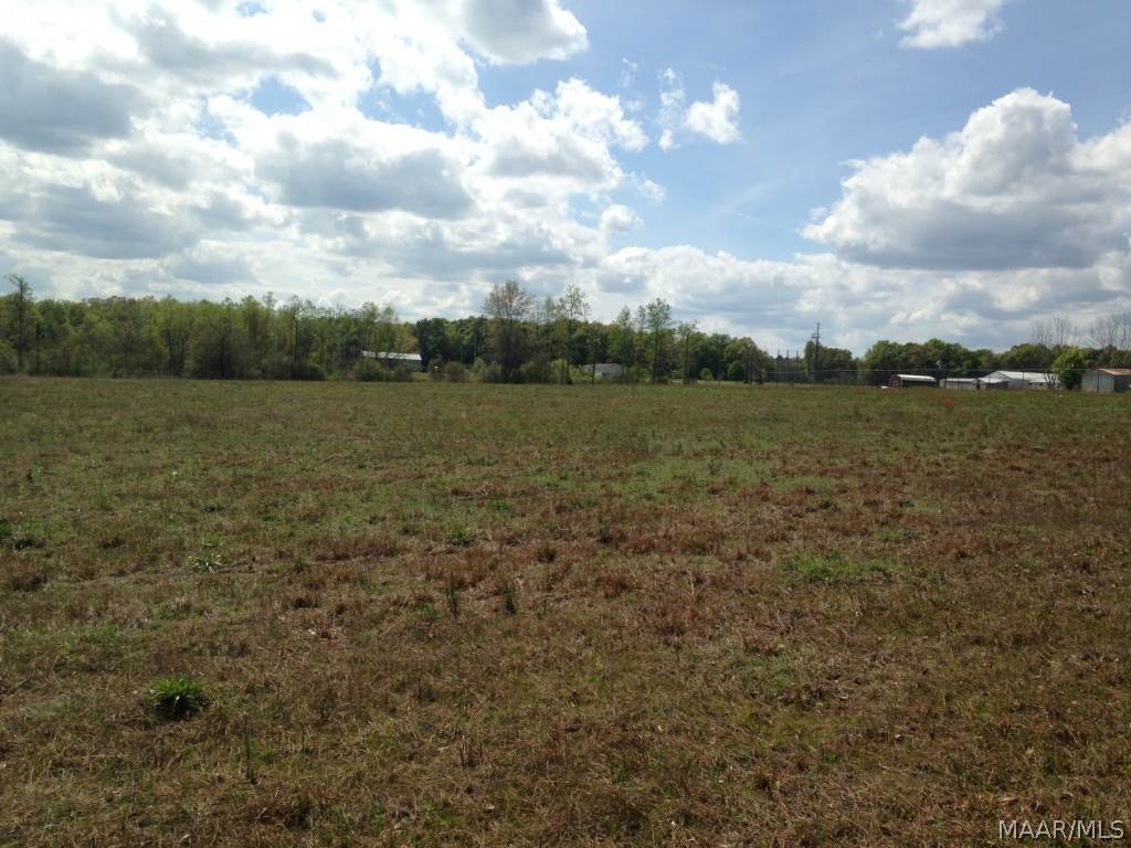 5.25 Acres Steel Road Samson, AL 36477 - Photo 4 of 8 Gallery Image 4