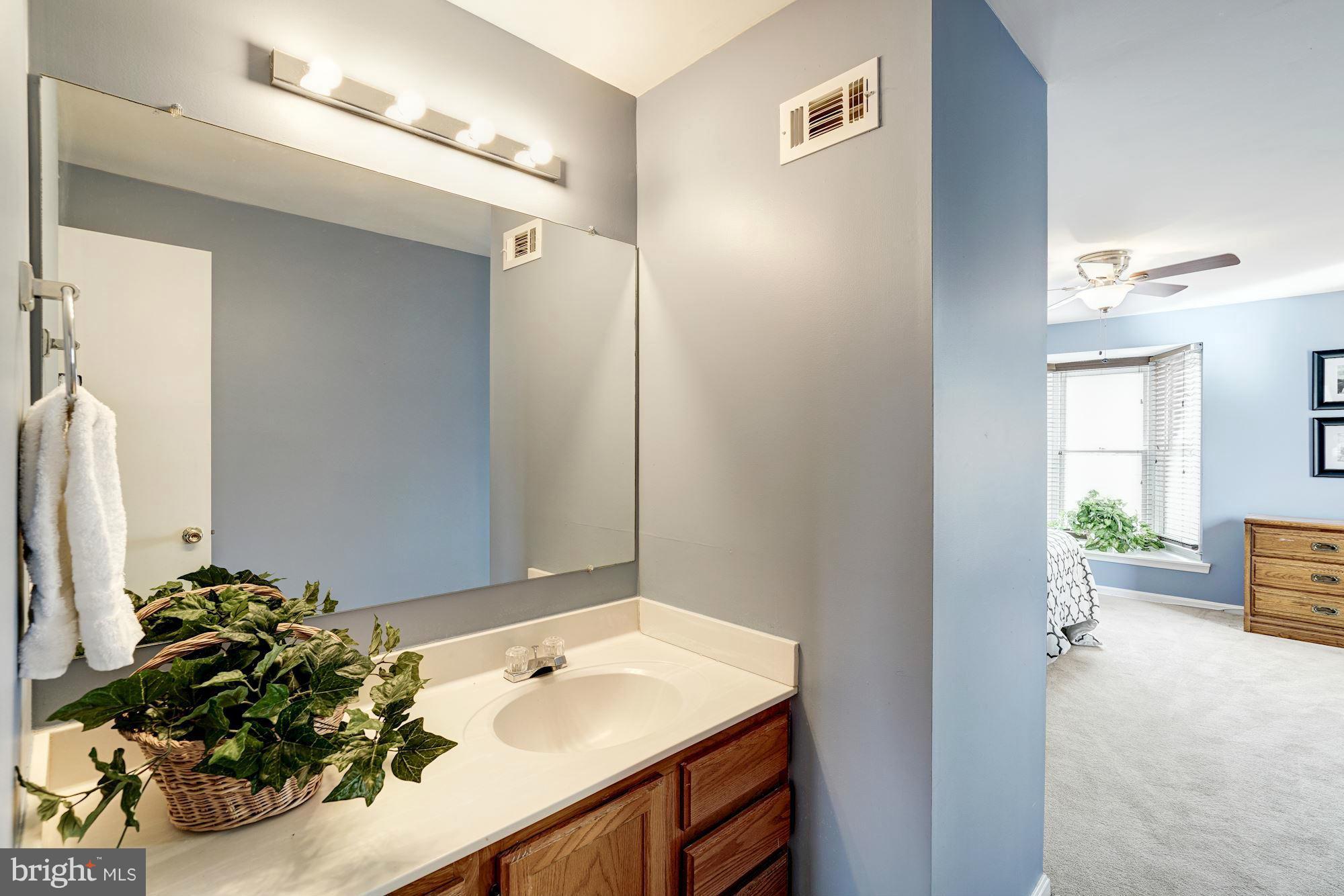 11941 Hollowwind Court Reston, VA 20194 - Photo 14 of 30 Bath (Master)