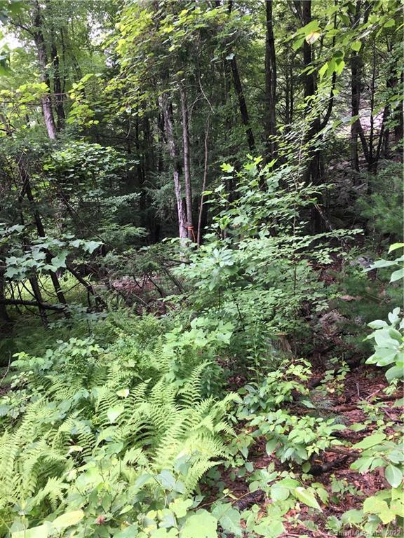 2 Shingle Mill Road Simsbury, CT 06092 - Photo 1 of 1 Gallery Image 1