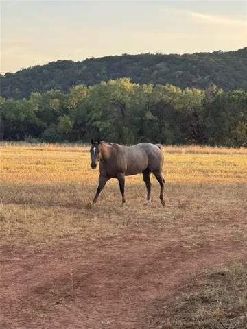 $380,000 | 457 County Road 387, Merkel, TX 79536