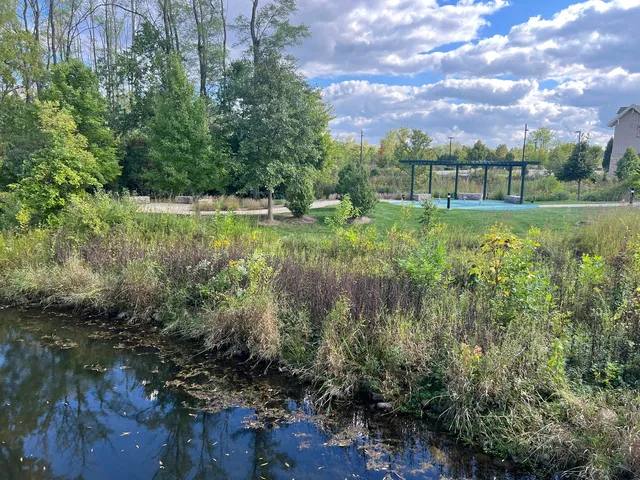 a view of a garden from a lake