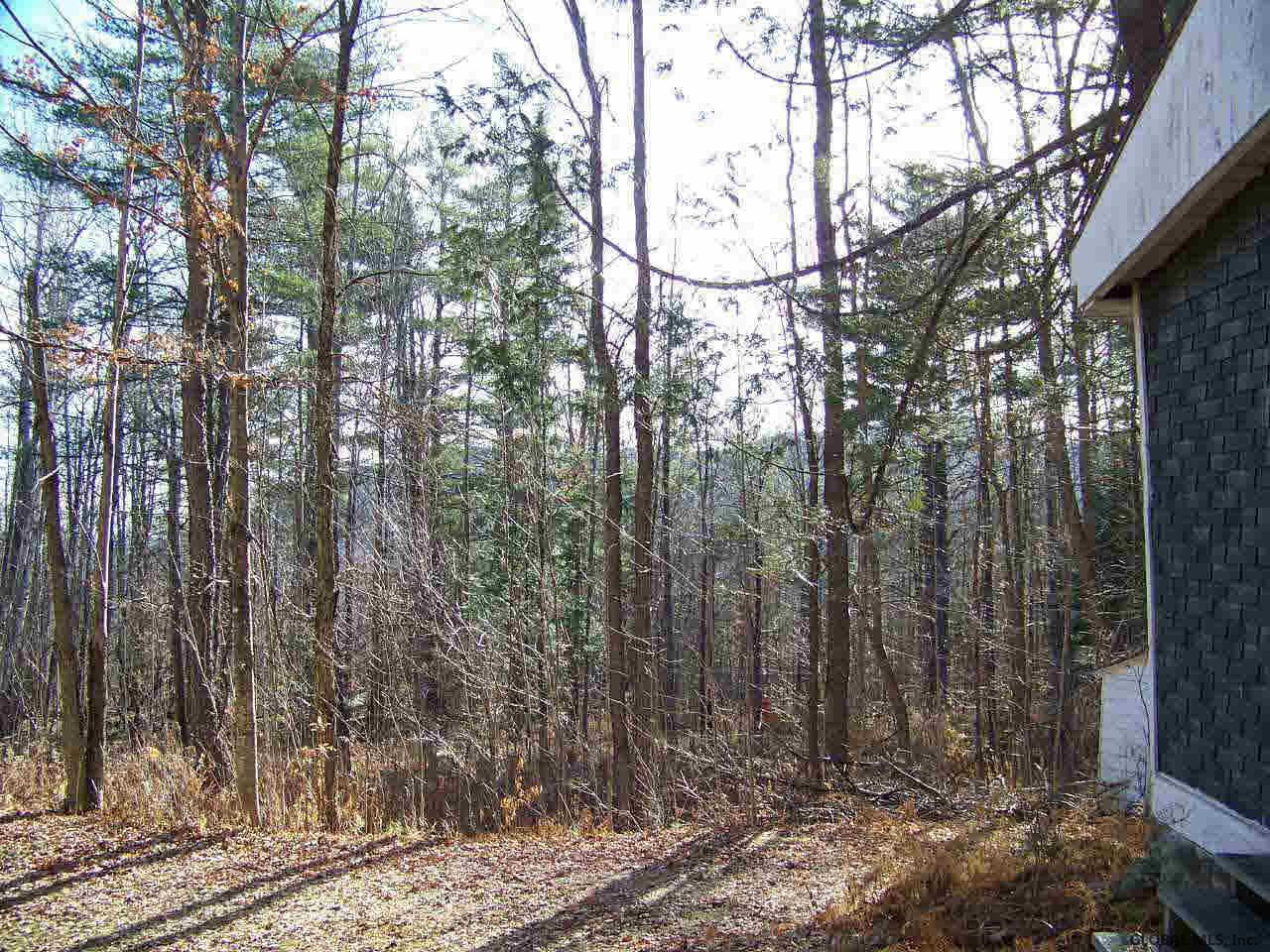 52 Shields Road North River, NY 12856 - Photo 6 of 9 Photo 6