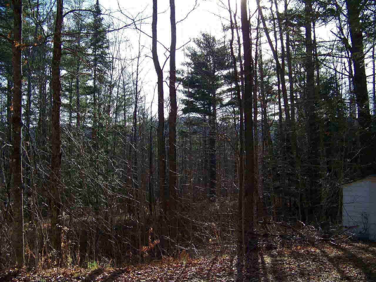 52 Shields Road North River, NY 12856 - Photo 9 of 9 Photo 9