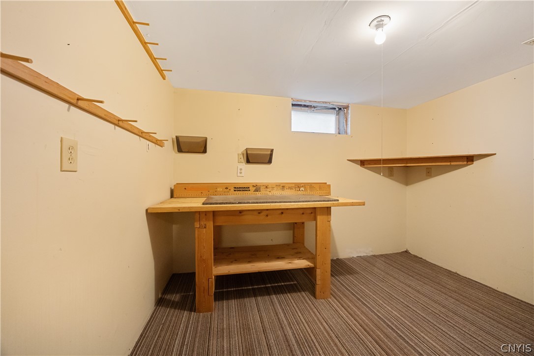 5182 Novara Lane Clay, NY 13041 - Photo 31 of 34 Basement Storage