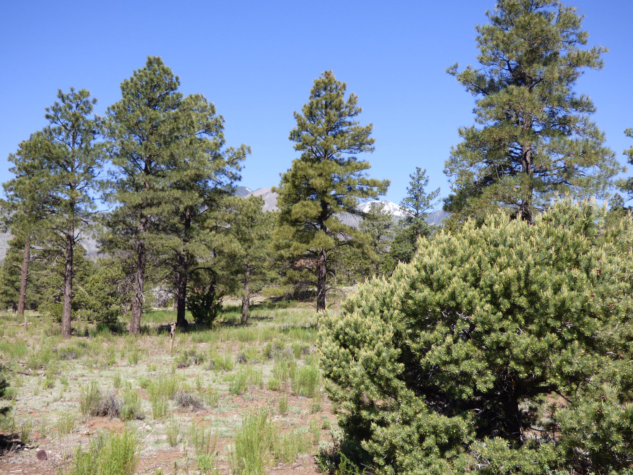 5290 East Pumpkin Patch Road Flagstaff, AZ 86004 - Photo 41 of 47 P1010151