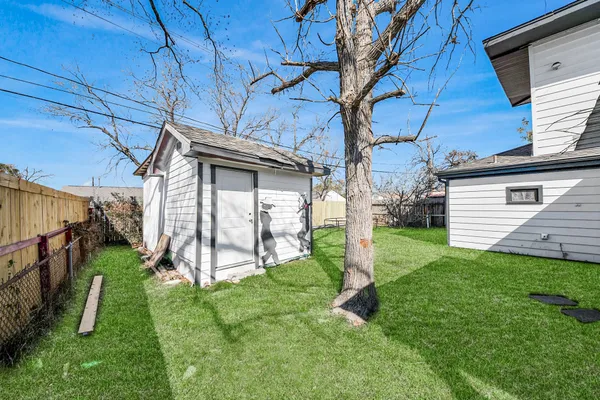a view of backyard with tree