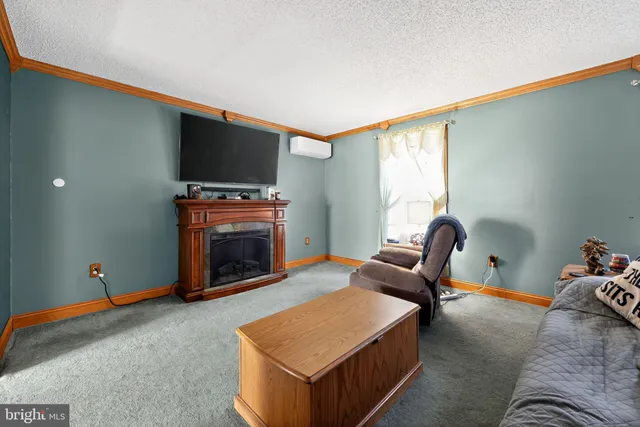 a living room with furniture a flat screen tv and a fireplace