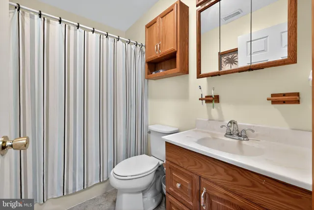 a bathroom with a sink a toilet and shower curtain