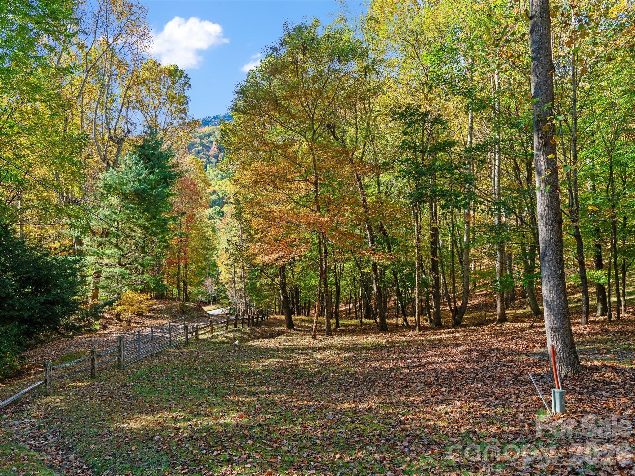 42 Hickory Springs Road, Unit 42 Burnsville, NC 28714 - Photo 12 of 35 a view of outdoor space with trees