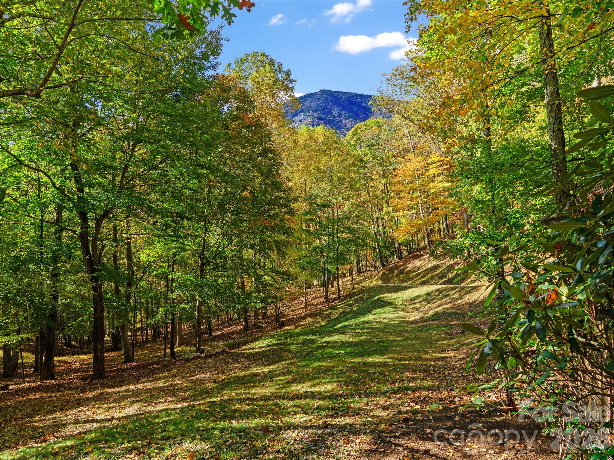 42 Hickory Springs Road, Unit 42 Burnsville, NC 28714 - Photo 13 of 35 a view of a trees with a yard