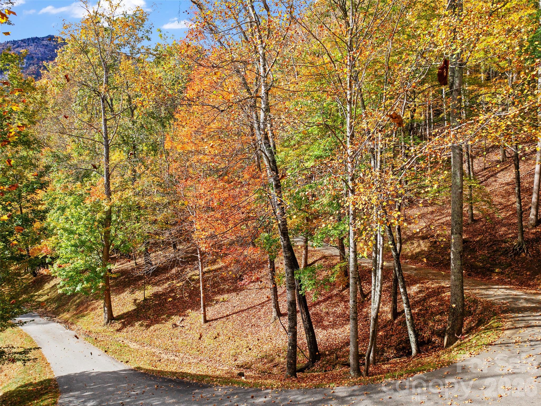 42 Hickory Springs Road, Unit 42 Burnsville, NC 28714 - Photo 14 of 35 a picture of trees