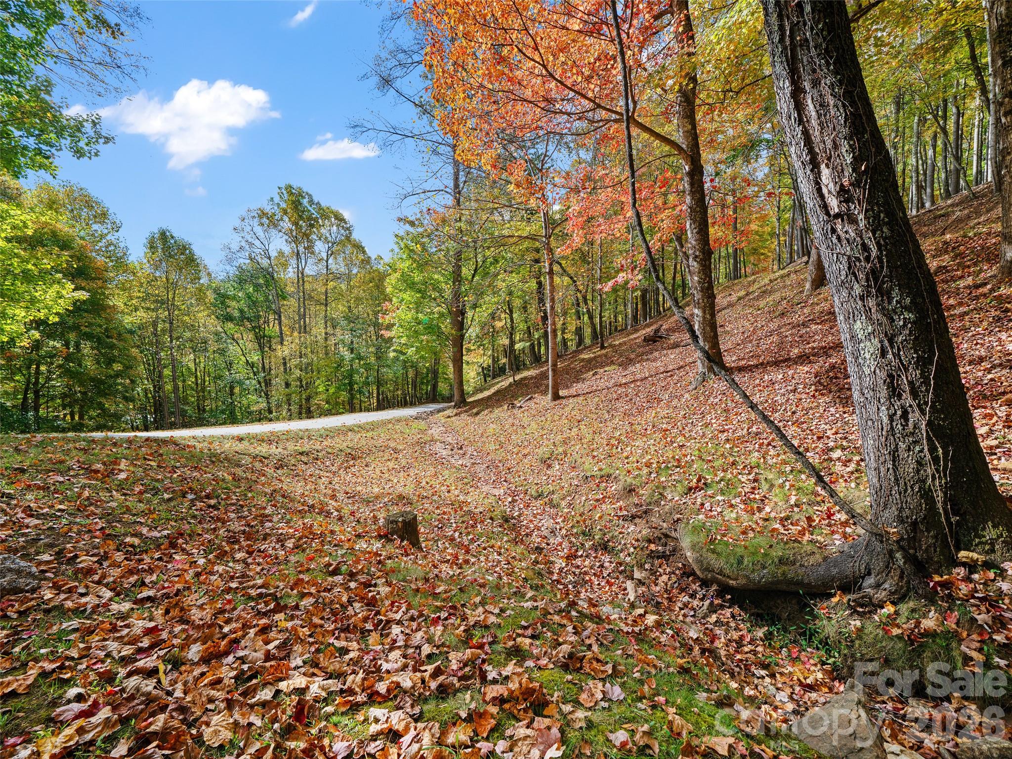 42 Hickory Springs Road, Unit 42 Burnsville, NC 28714 - Photo 20 of 35 a view of a yard with plants and trees