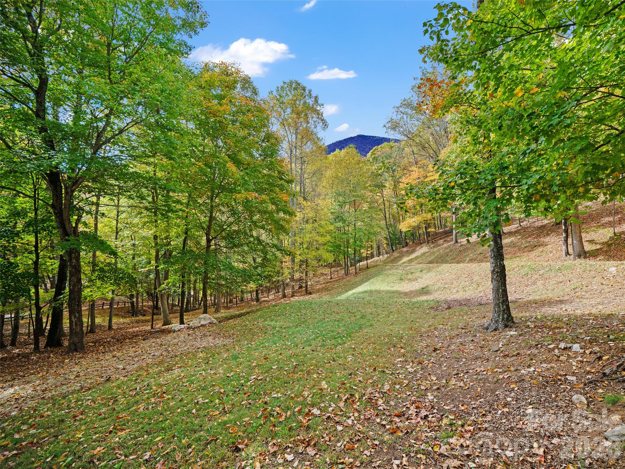 42 Hickory Springs Road, Unit 42 Burnsville, NC 28714 - Photo 2 of 35 a view of a yard with trees