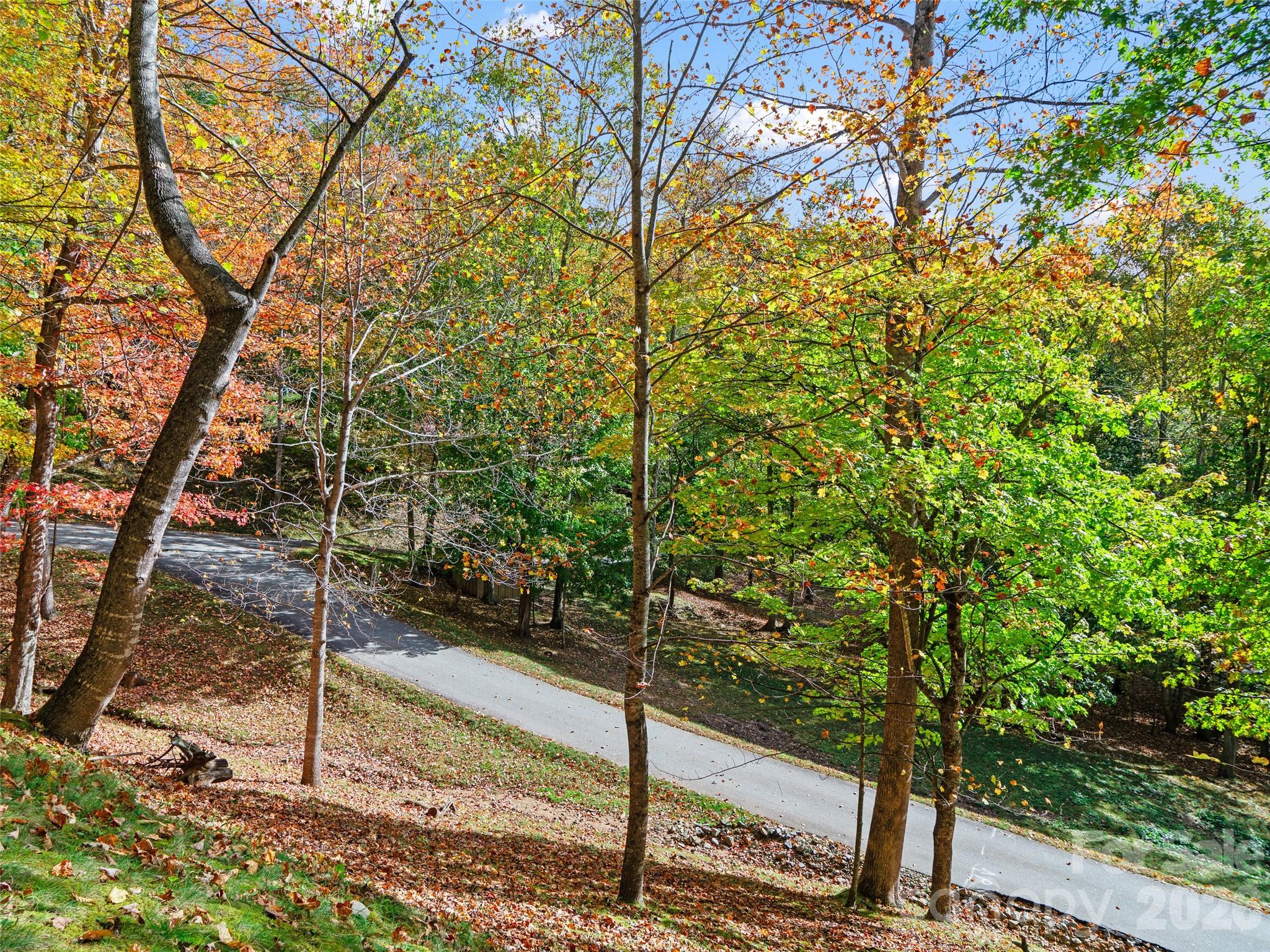 42 Hickory Springs Road, Unit 42 Burnsville, NC 28714 - Photo 22 of 35 a backyard of a house with lots of tree
