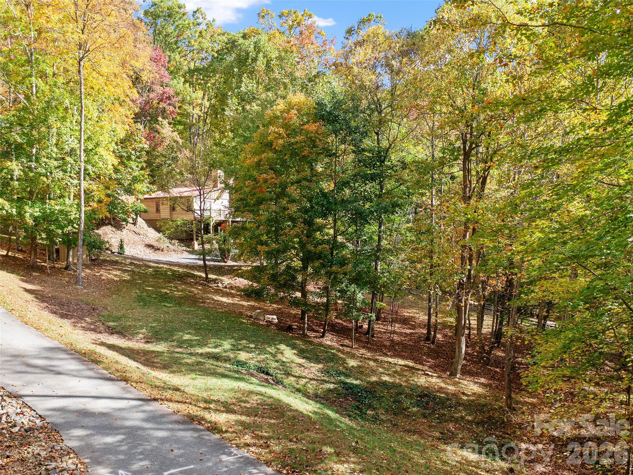 42 Hickory Springs Road, Unit 42 Burnsville, NC 28714 - Photo 7 of 35 a view of a yard with plants and large trees
