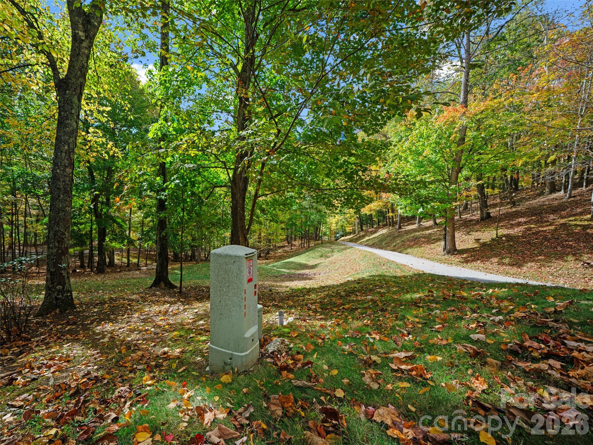 42 Hickory Springs Road, Unit 42 Burnsville, NC 28714 - Photo 8 of 35 a view of a tree with a yard