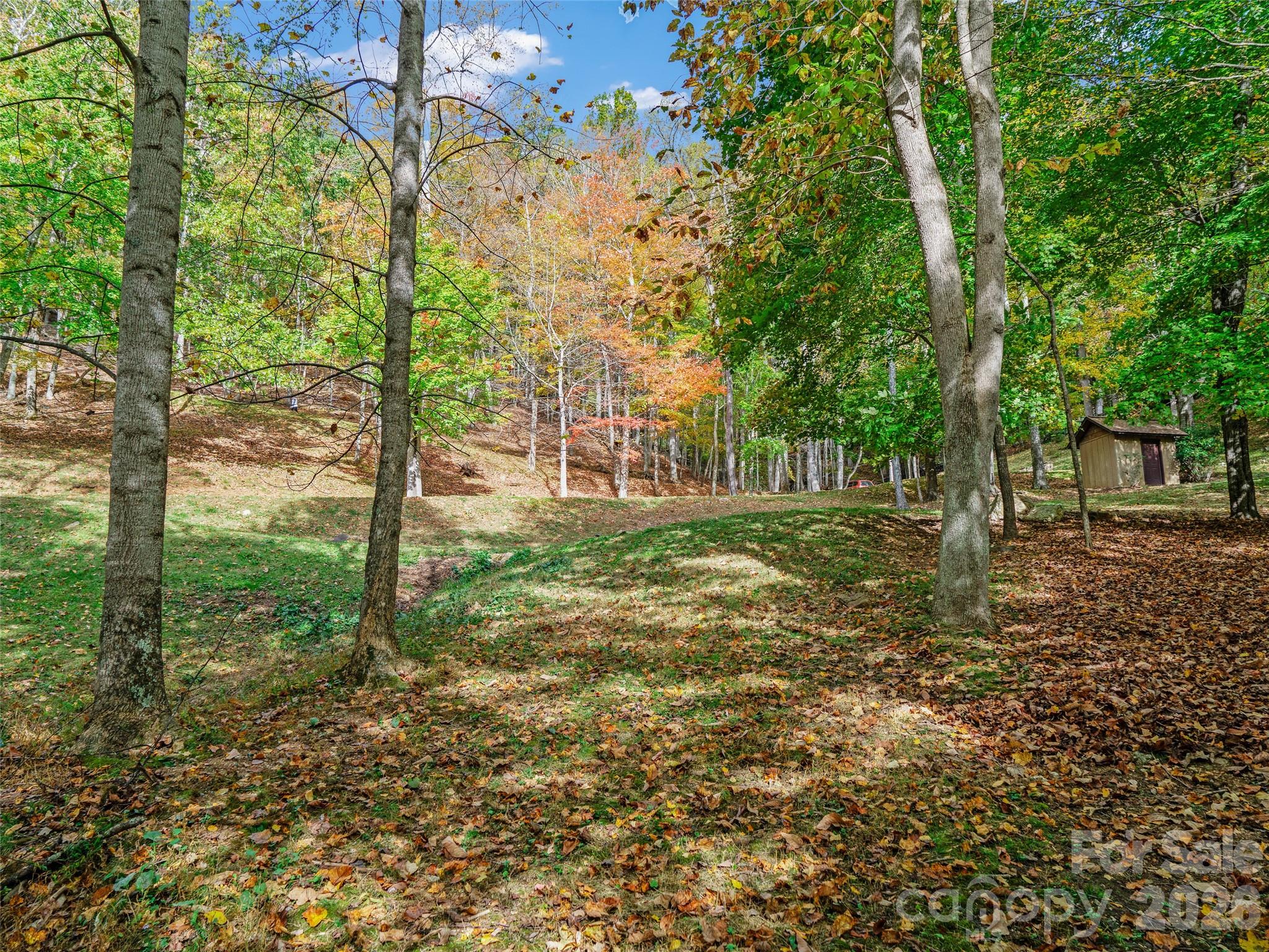 42 Hickory Springs Road, Unit 42 Burnsville, NC 28714 - Photo 10 of 35 a backyard of a house with lots of green space