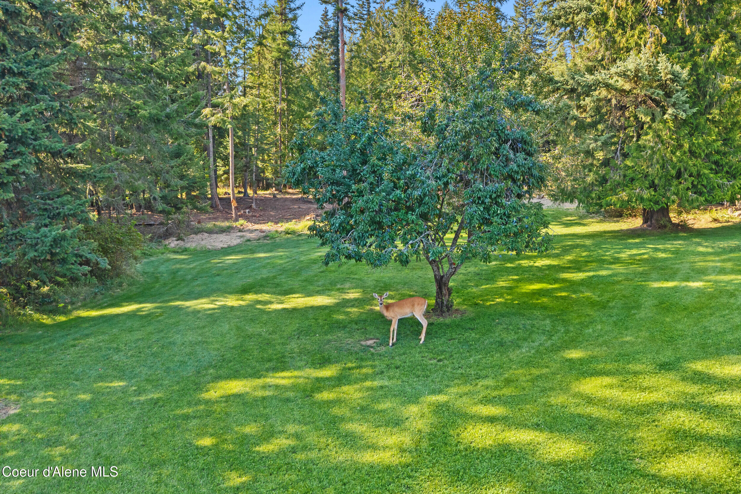 1702 Eastside Road Priest River, ID 83856 - Photo 63 of 75 64-1702 eastside rd-priest river